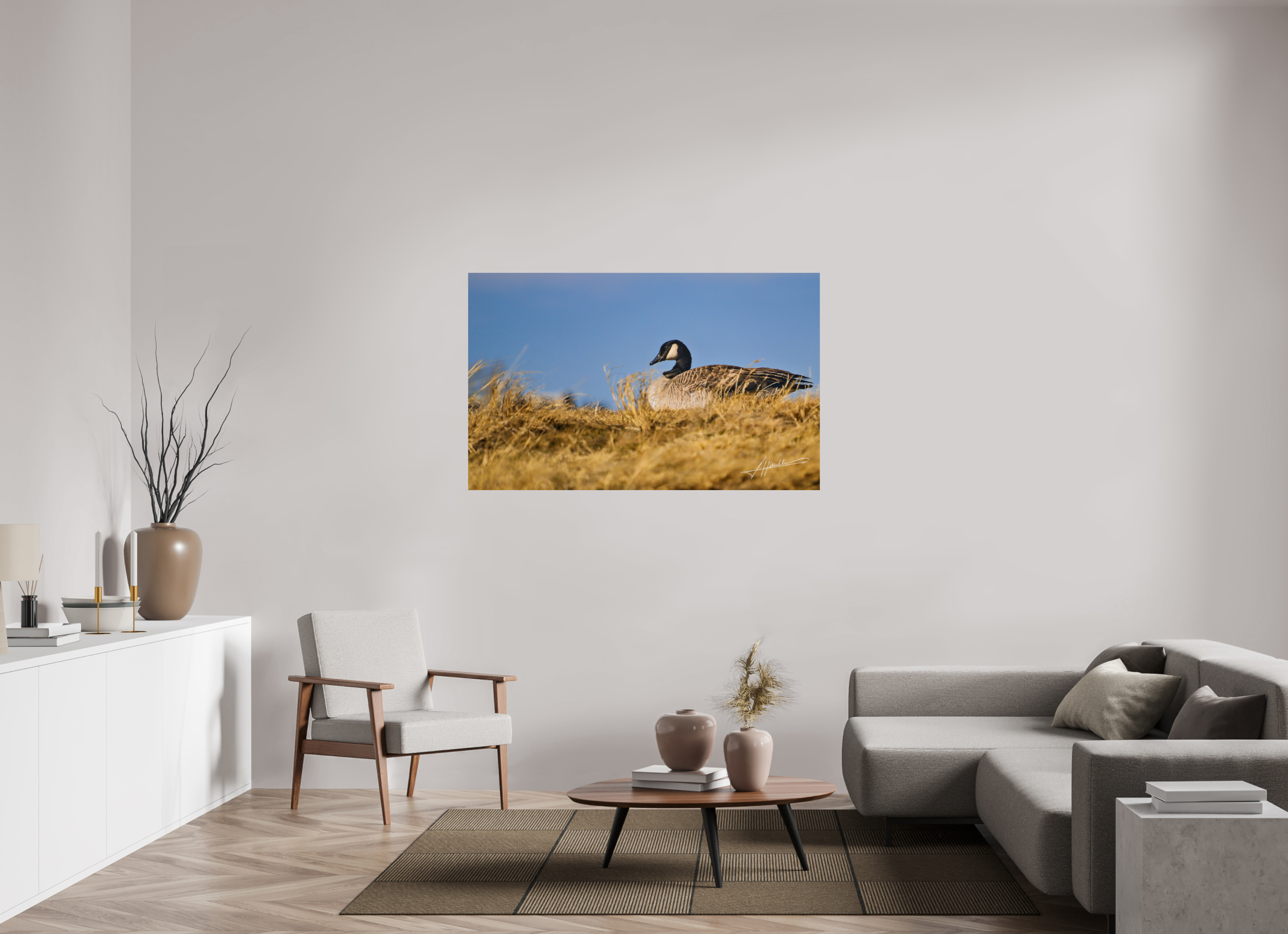 56.7 x 35″, Photo Print On Fujiflex High Gloss The Nesting Goose