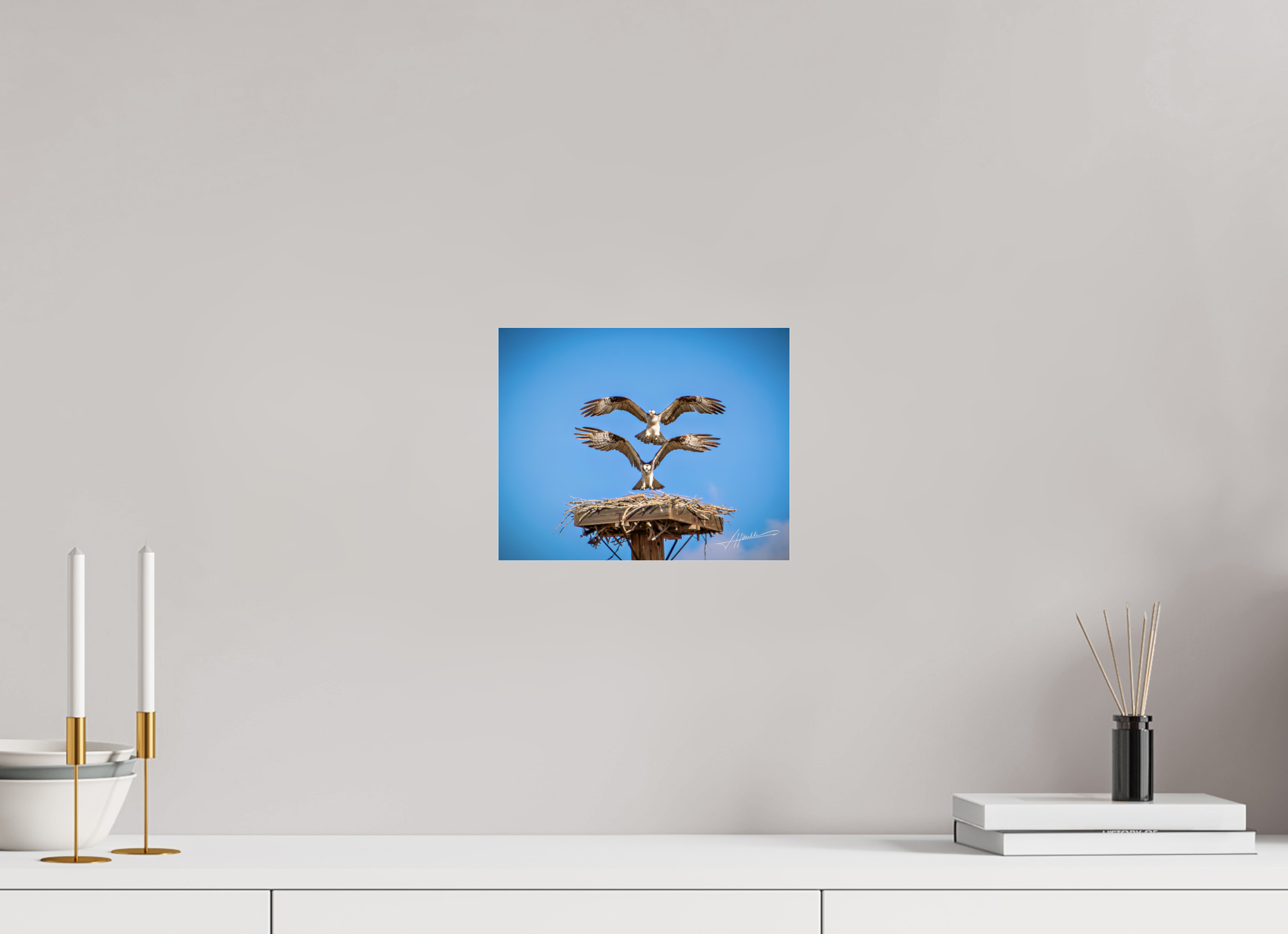 10 x 8″, Metallic Under Acrylic Two Osprey Landing