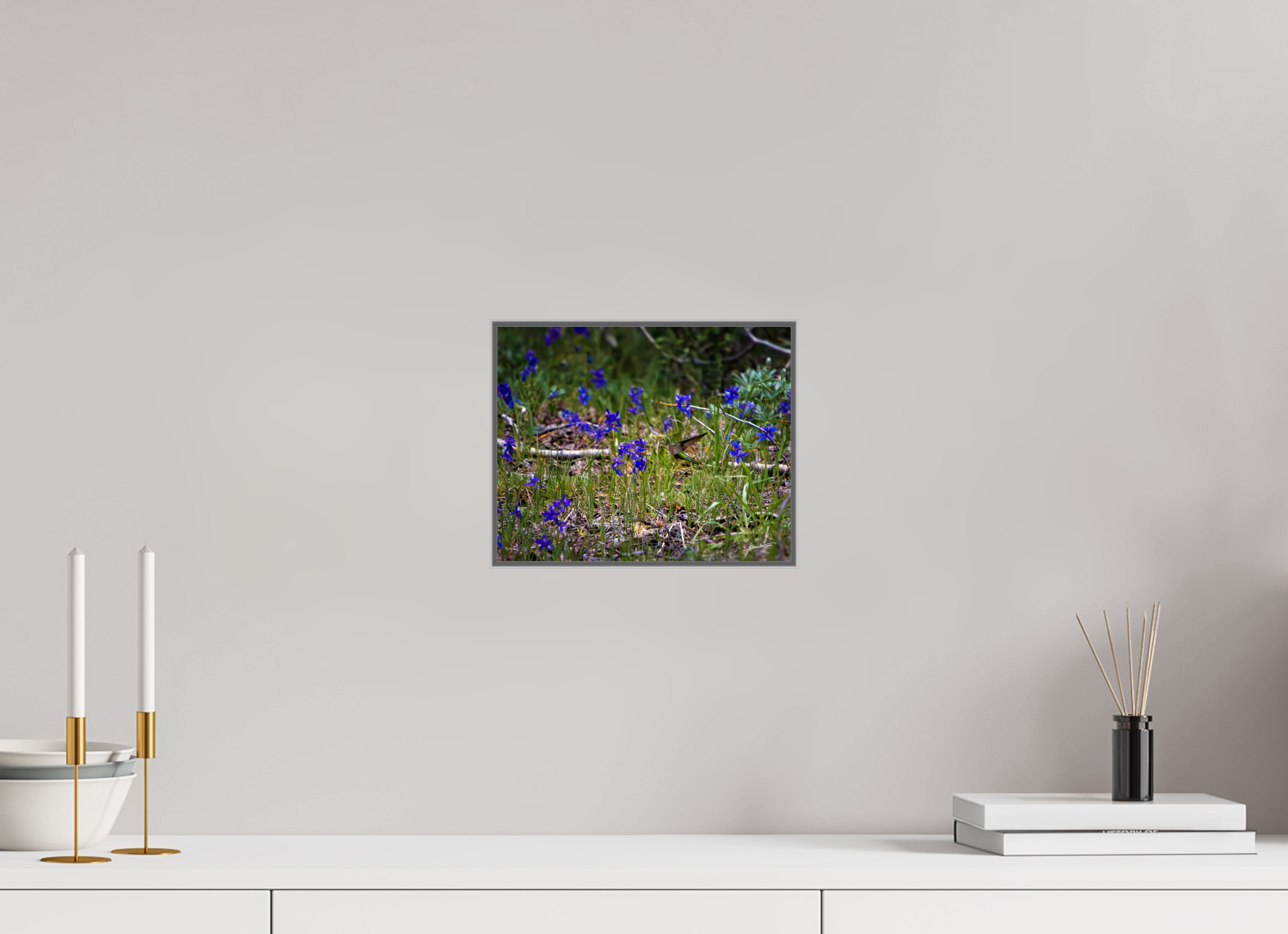 10 x 8″, Aluminum ArtBox Feeding Hummingbird