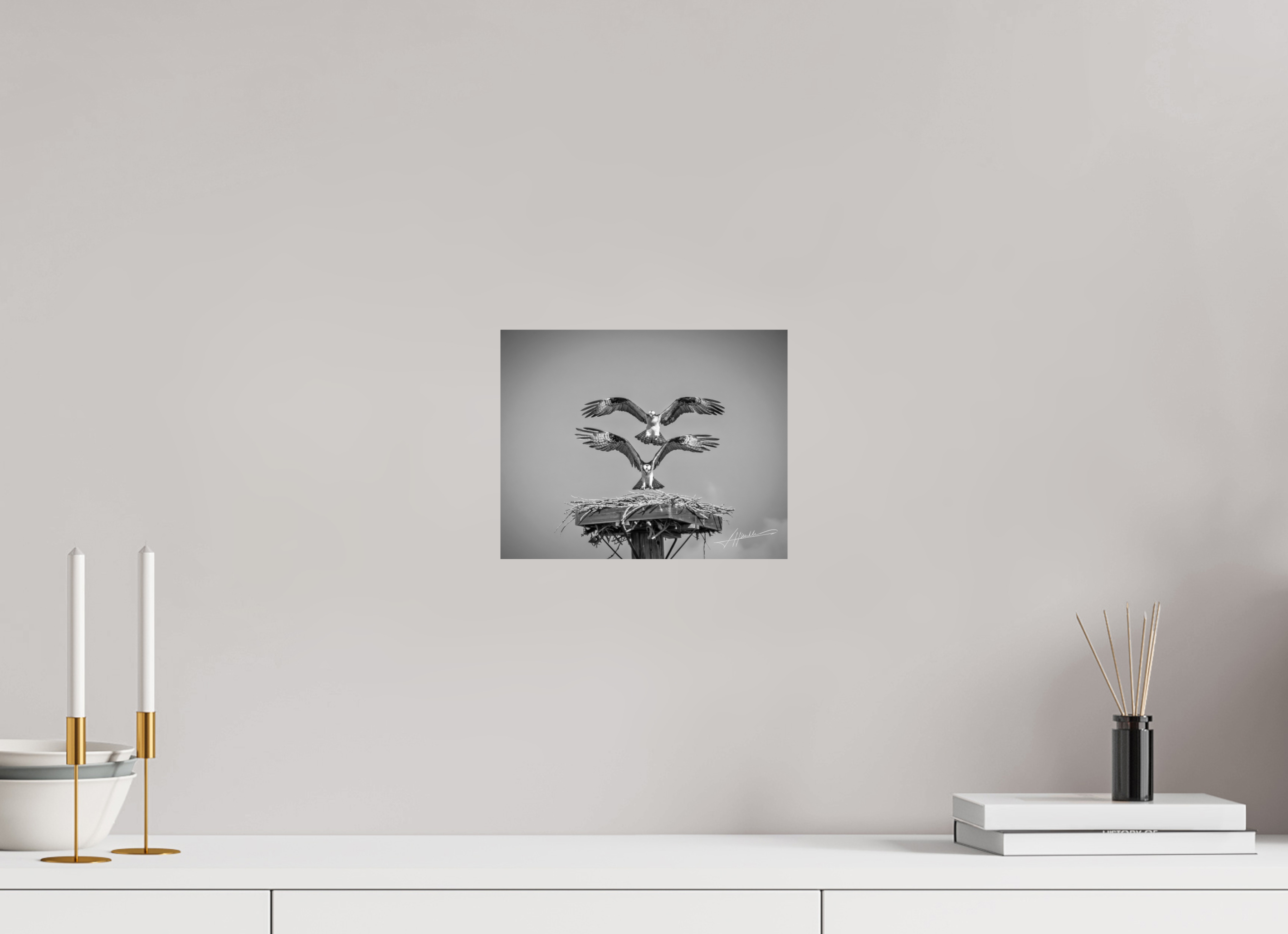 10 x 8″, Photo Print On Ilford Baryta Paper Two Osprey Landing