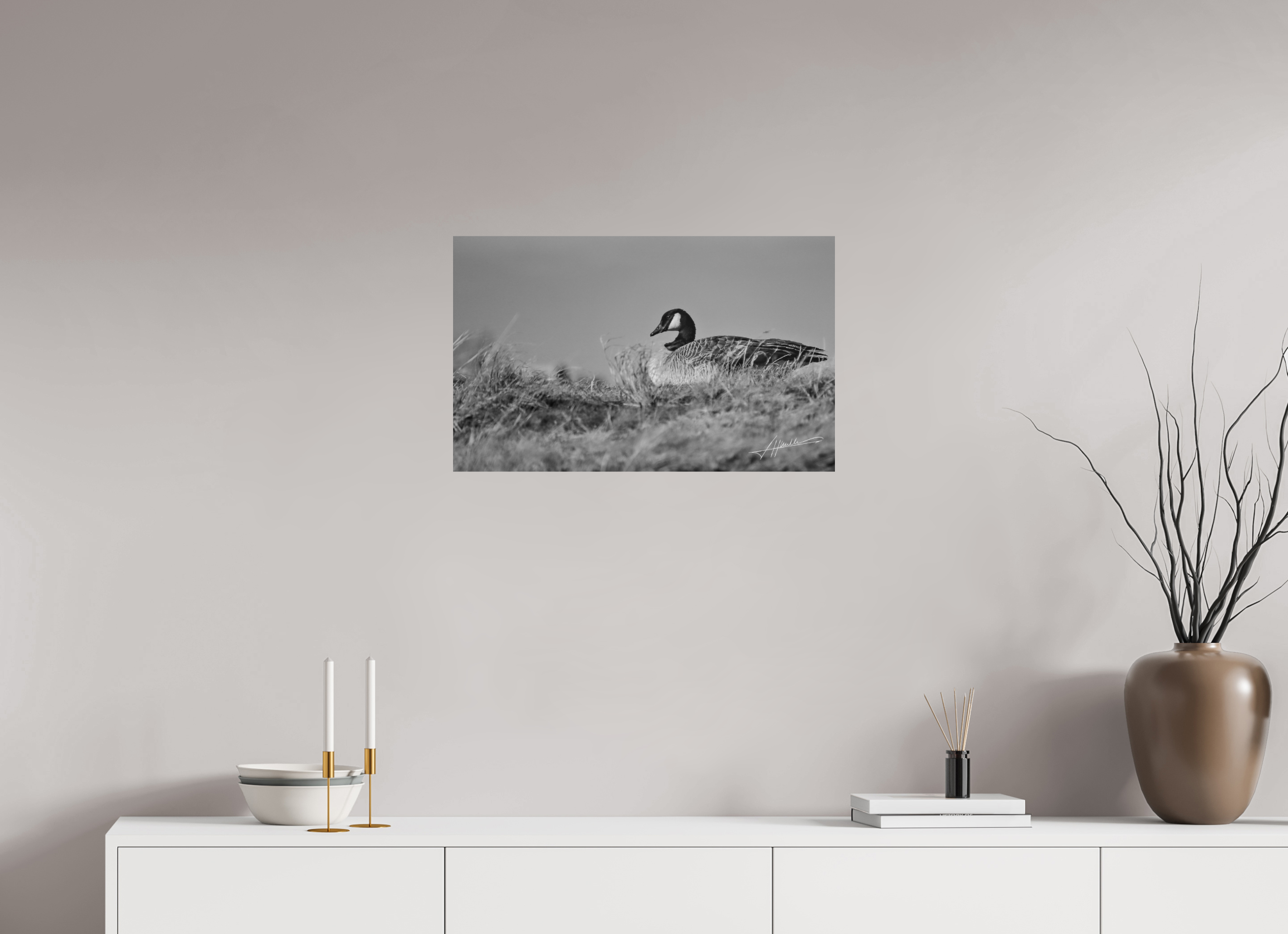 25.9 x 16″, Photo Print On Ilford Baryta Paper The Nesting Goose