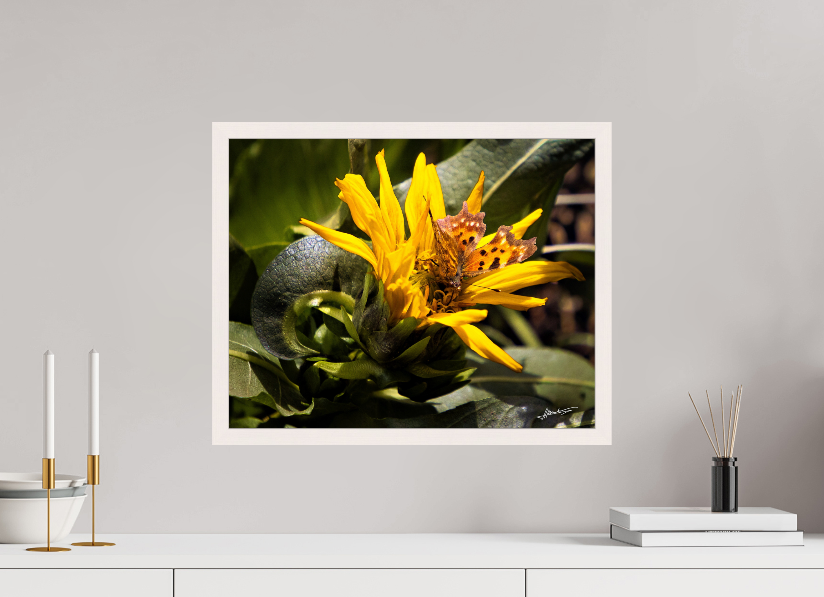 20 x 16″, Gallery Frame Busy Butterfly