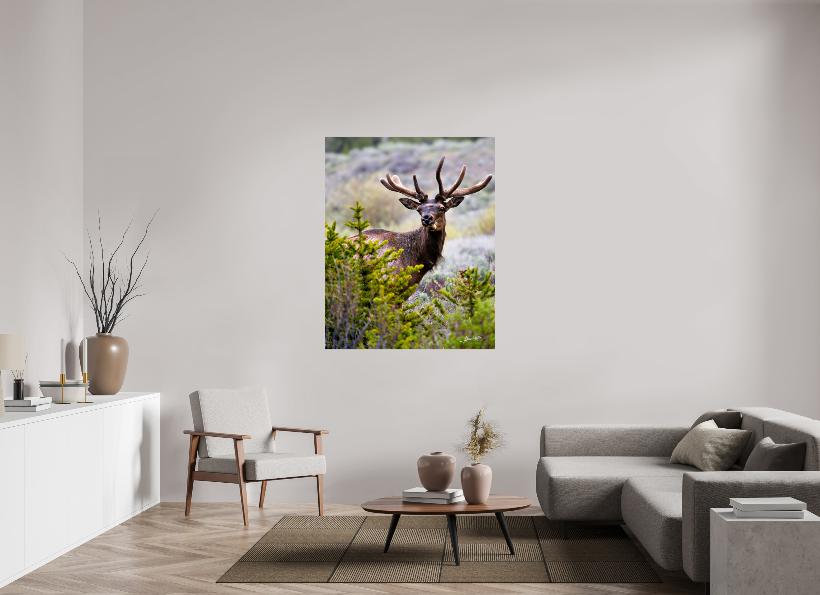 43 x 53.7″, Photo Print On Fujiflex High Gloss Velvet Bull