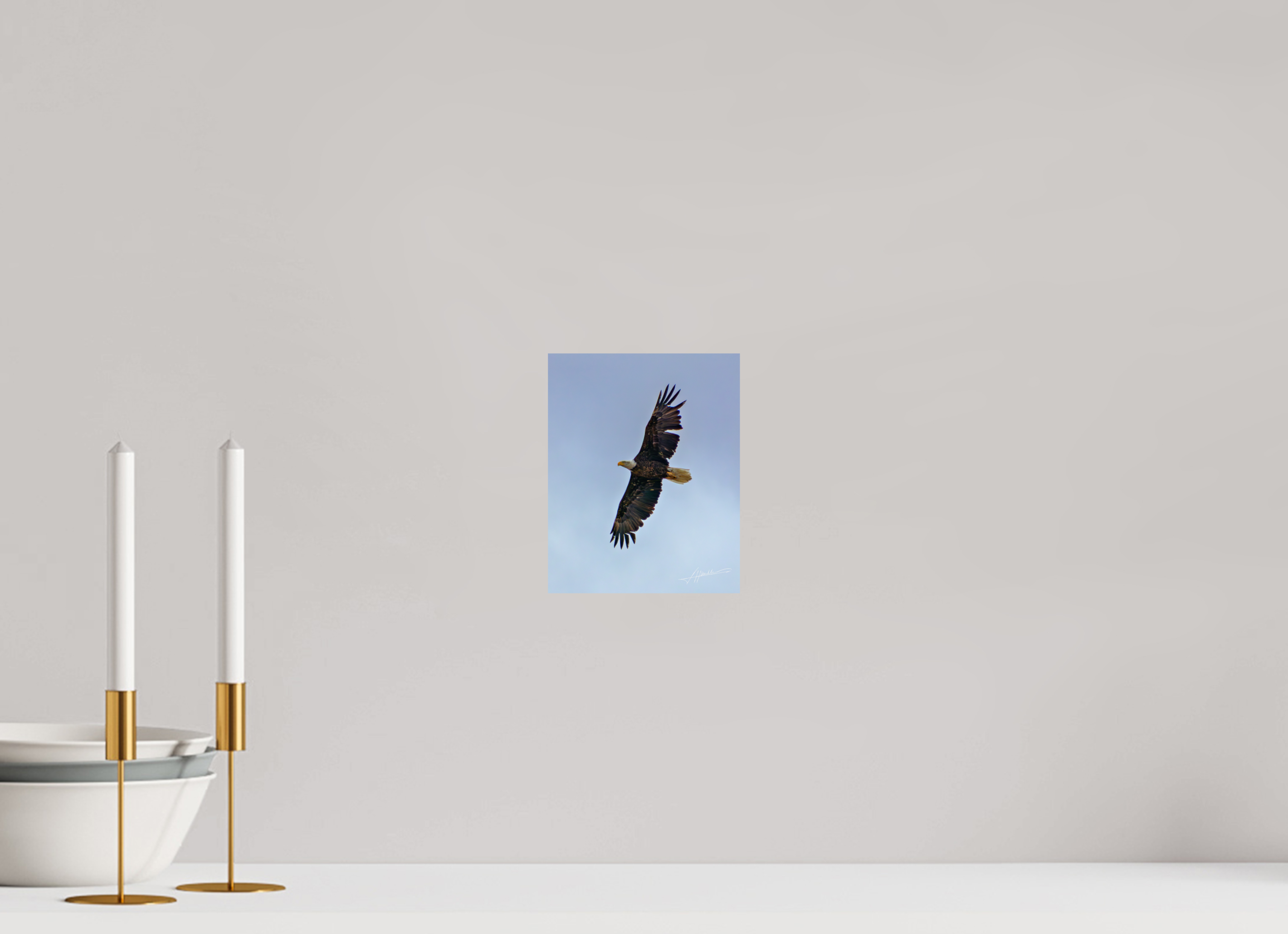 6 x 7.5″, Fine Art Print Wings Spread