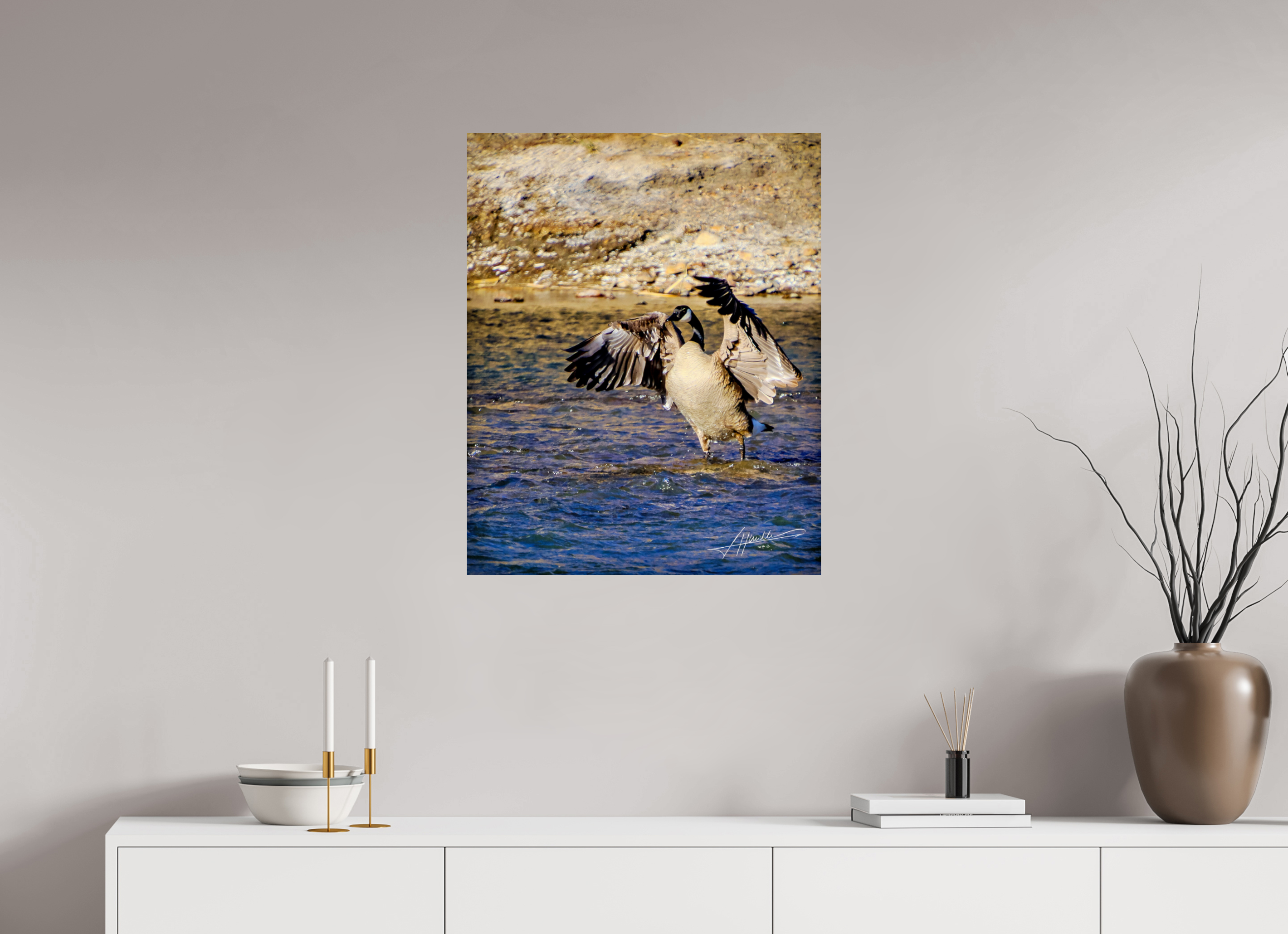 24 x 30″, Photo Print On Fuji Crystal DP II The Bathing Goose