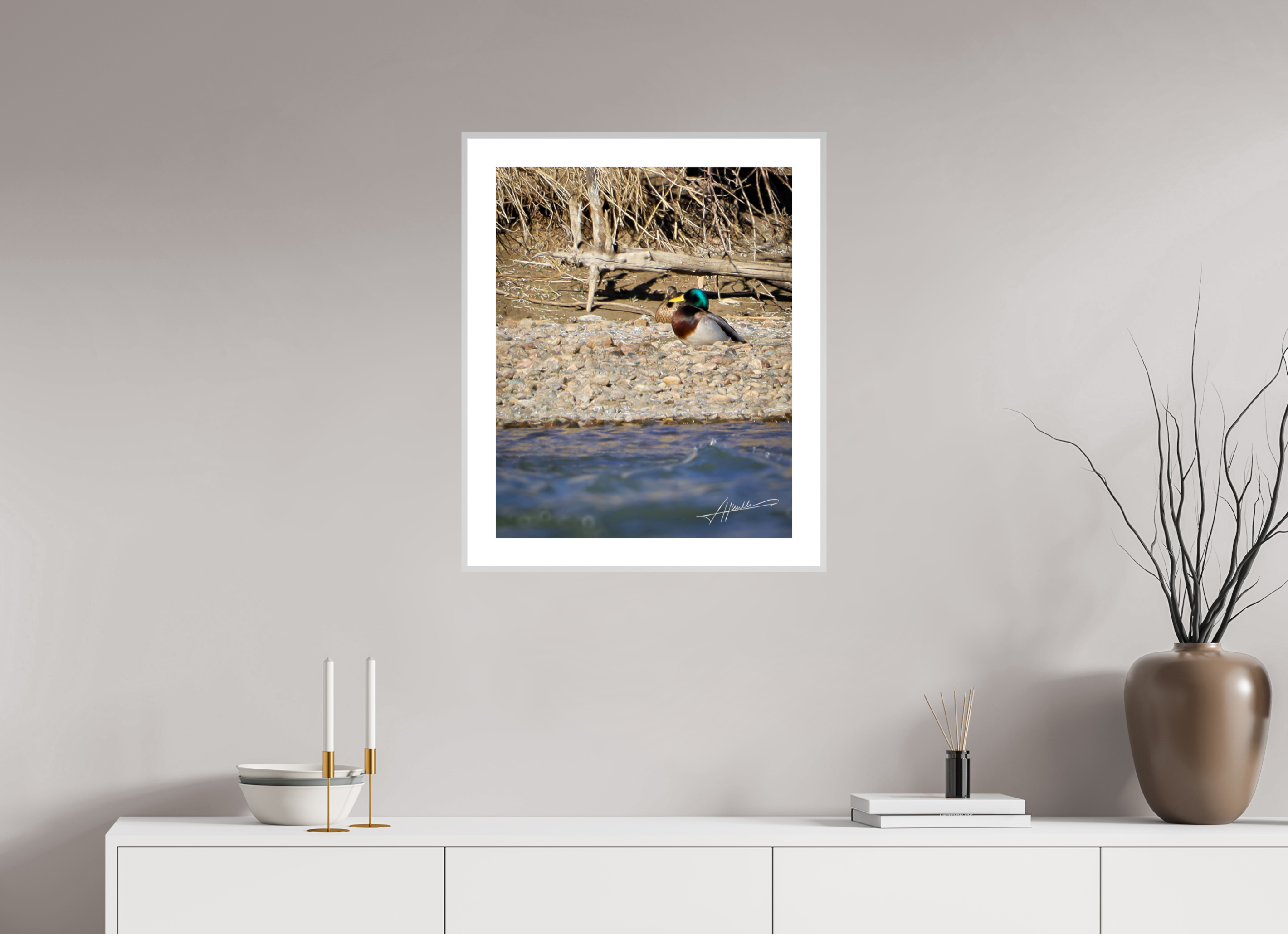 20 x 25″, Changeable Magnetic Frame Sunbathing Mallard