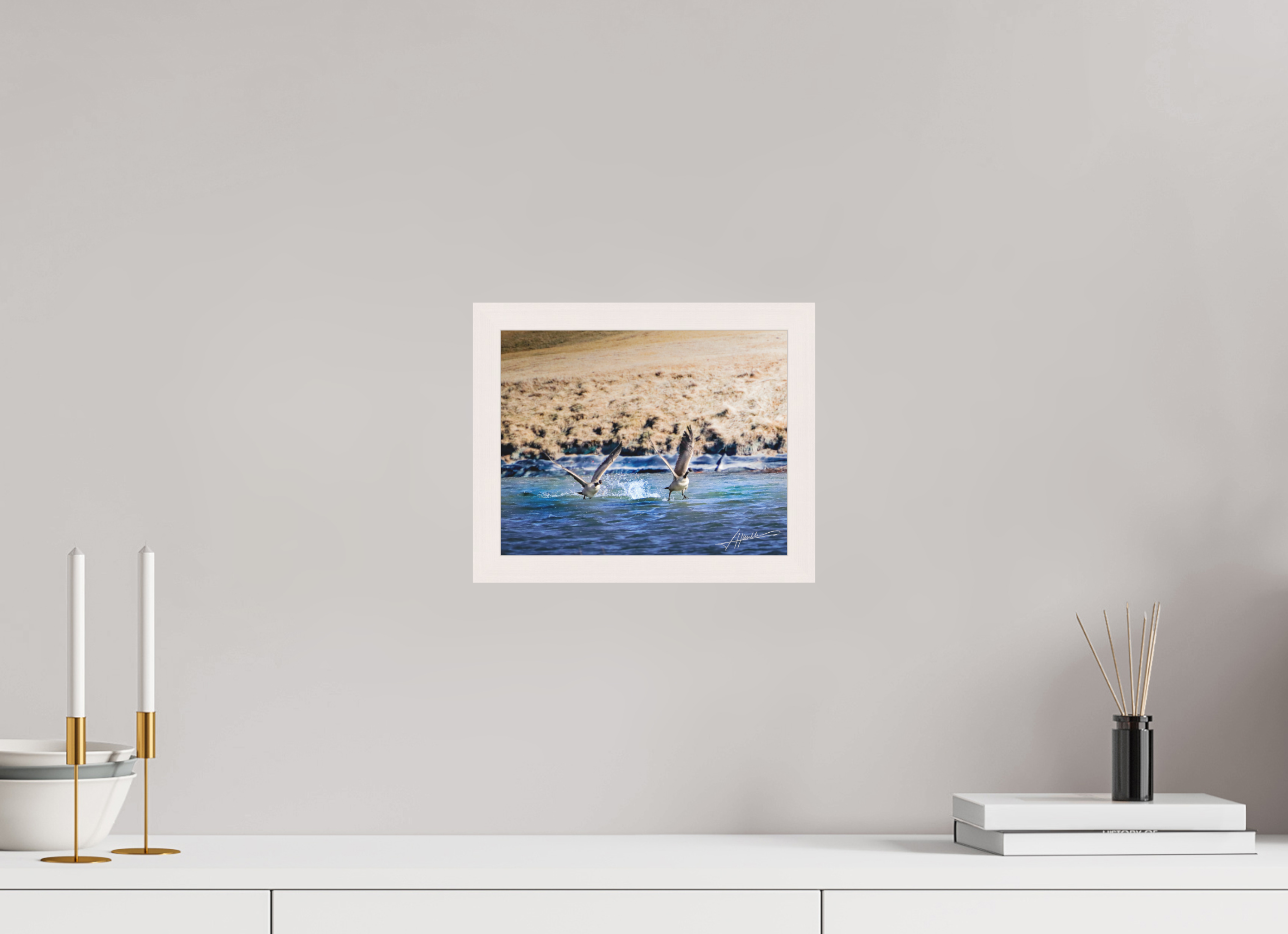 10 x 8″, Shadow Box Frame Geese Taking Flight