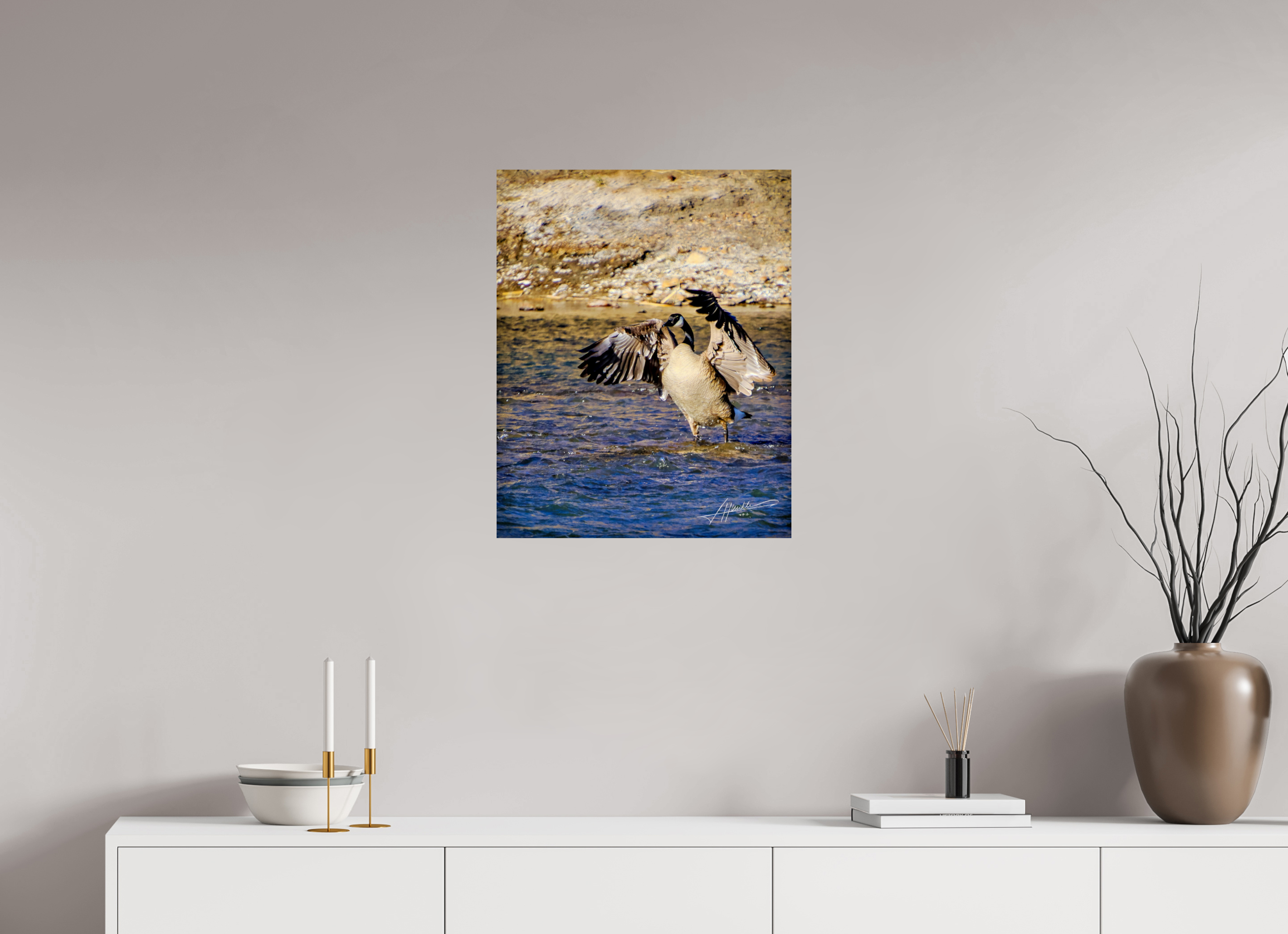 20 x 25″, Photo Print On Fuji Crystal DP II The Bathing Goose