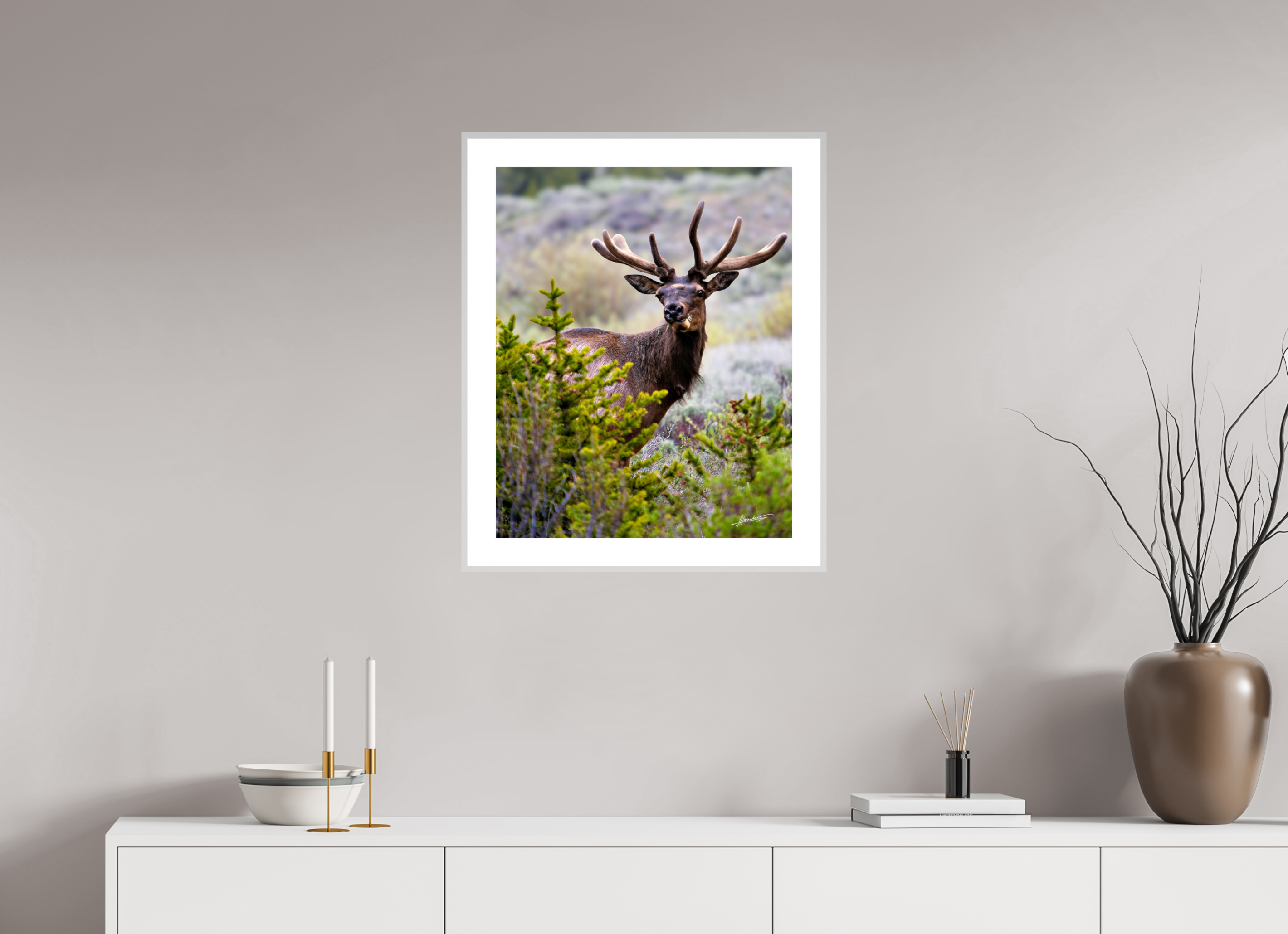 20 x 25″, Changeable Magnetic Frame Velvet Bull