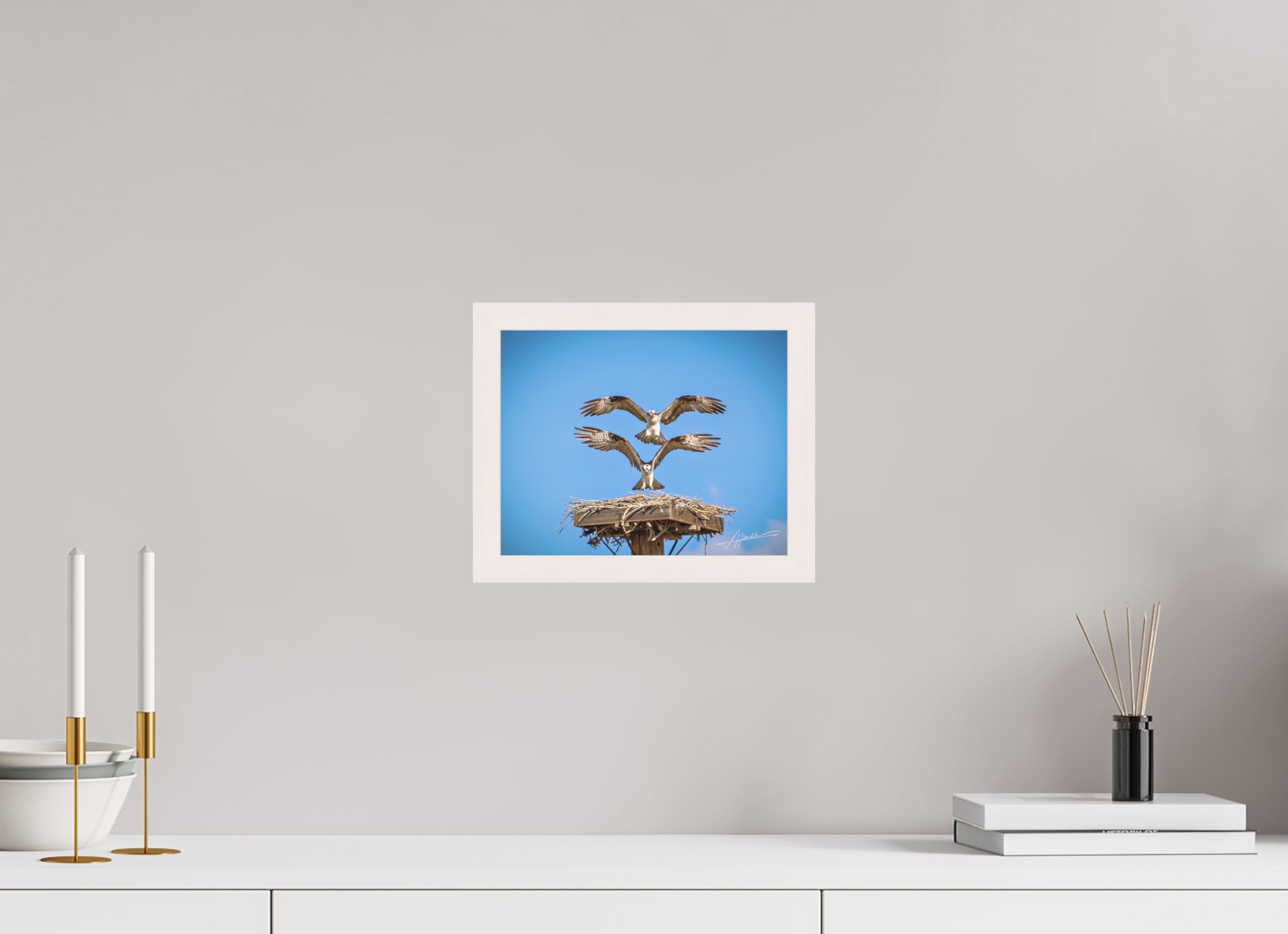 10 x 8″, Shadow Box Frame Two Osprey Landing