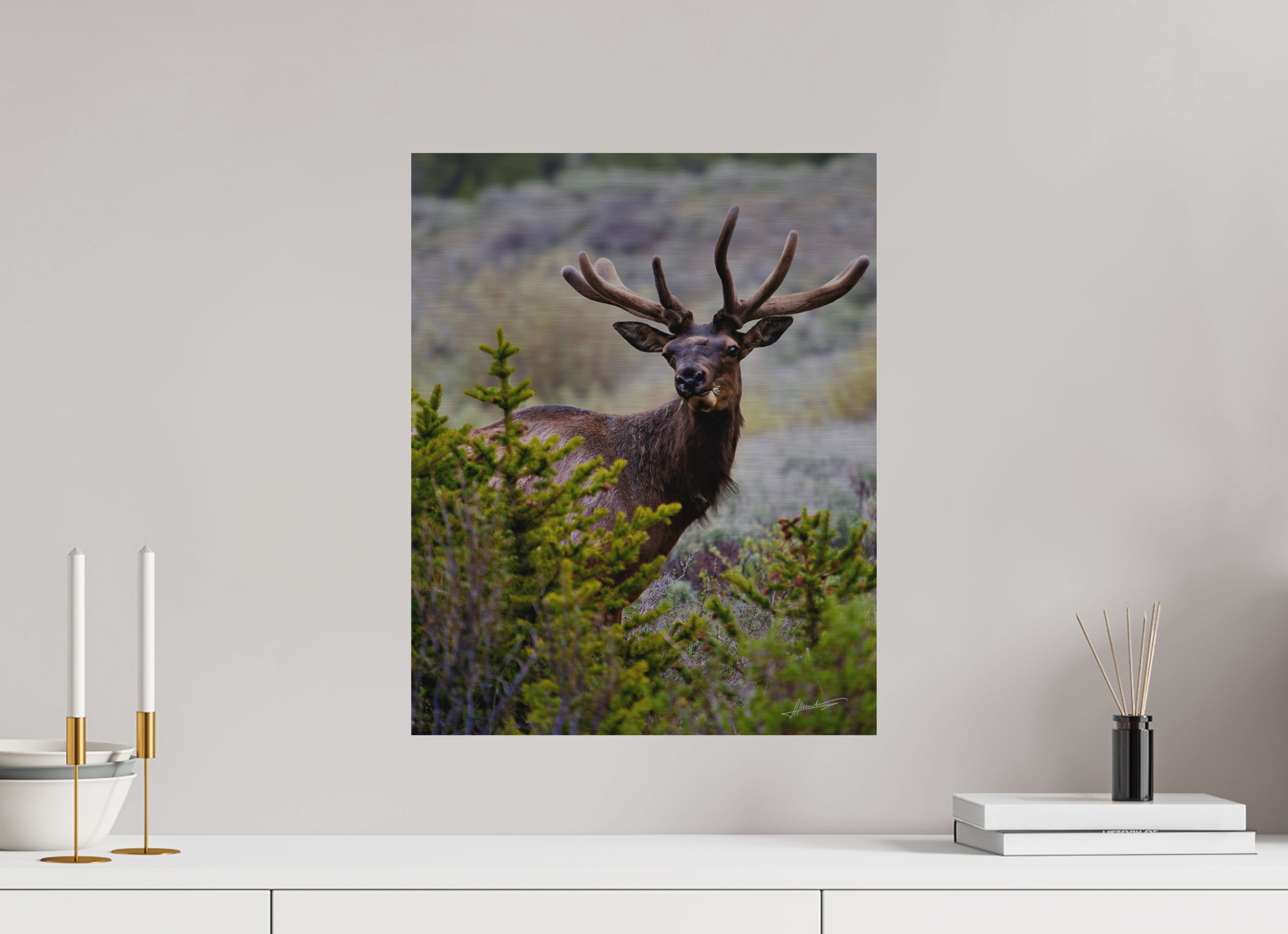 16 x 20″, Direct Brushed Aluminum Velvet Bull