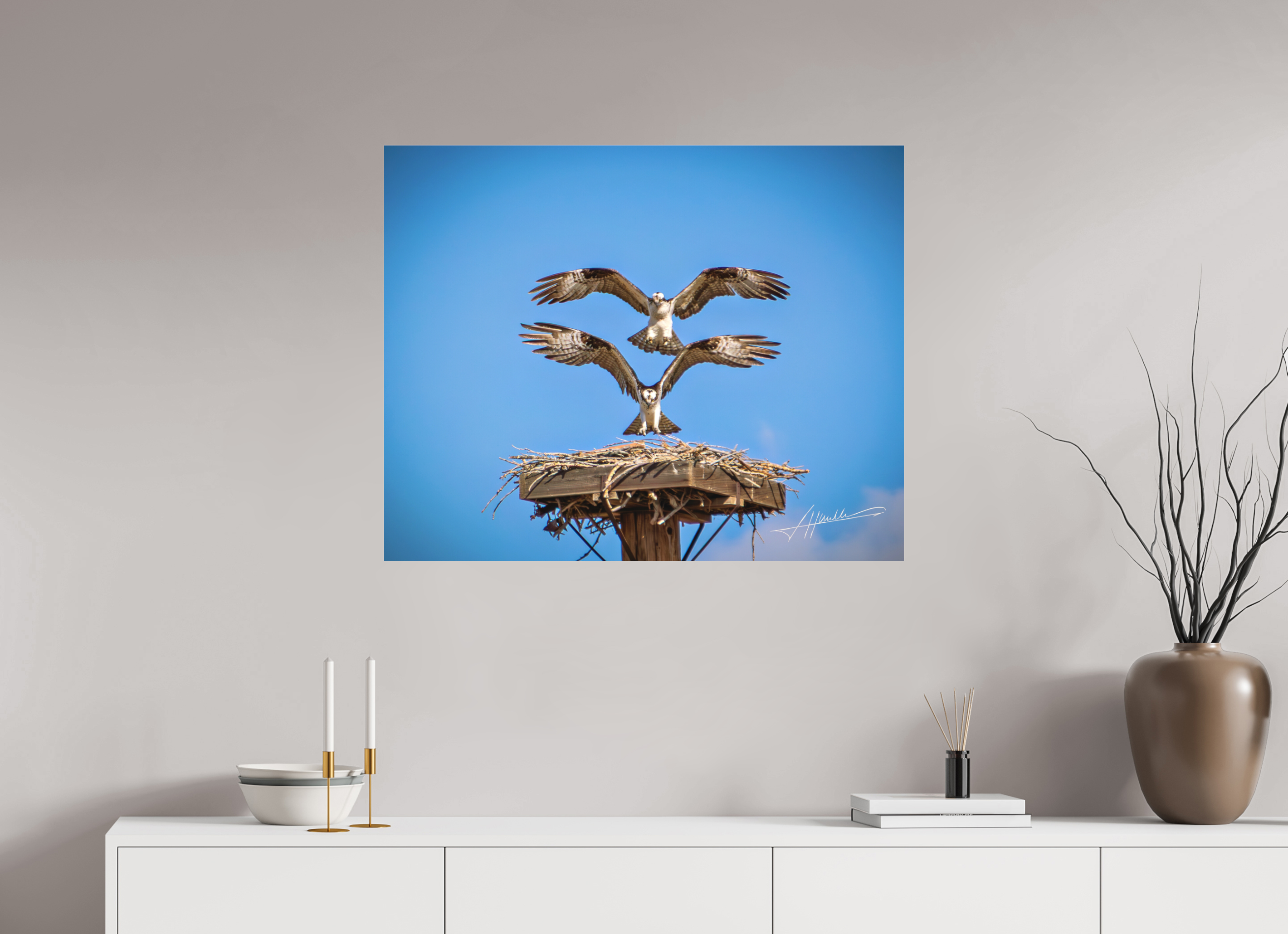 35 x 28″, Fine Pigment Under Acrylic Two Osprey Landing