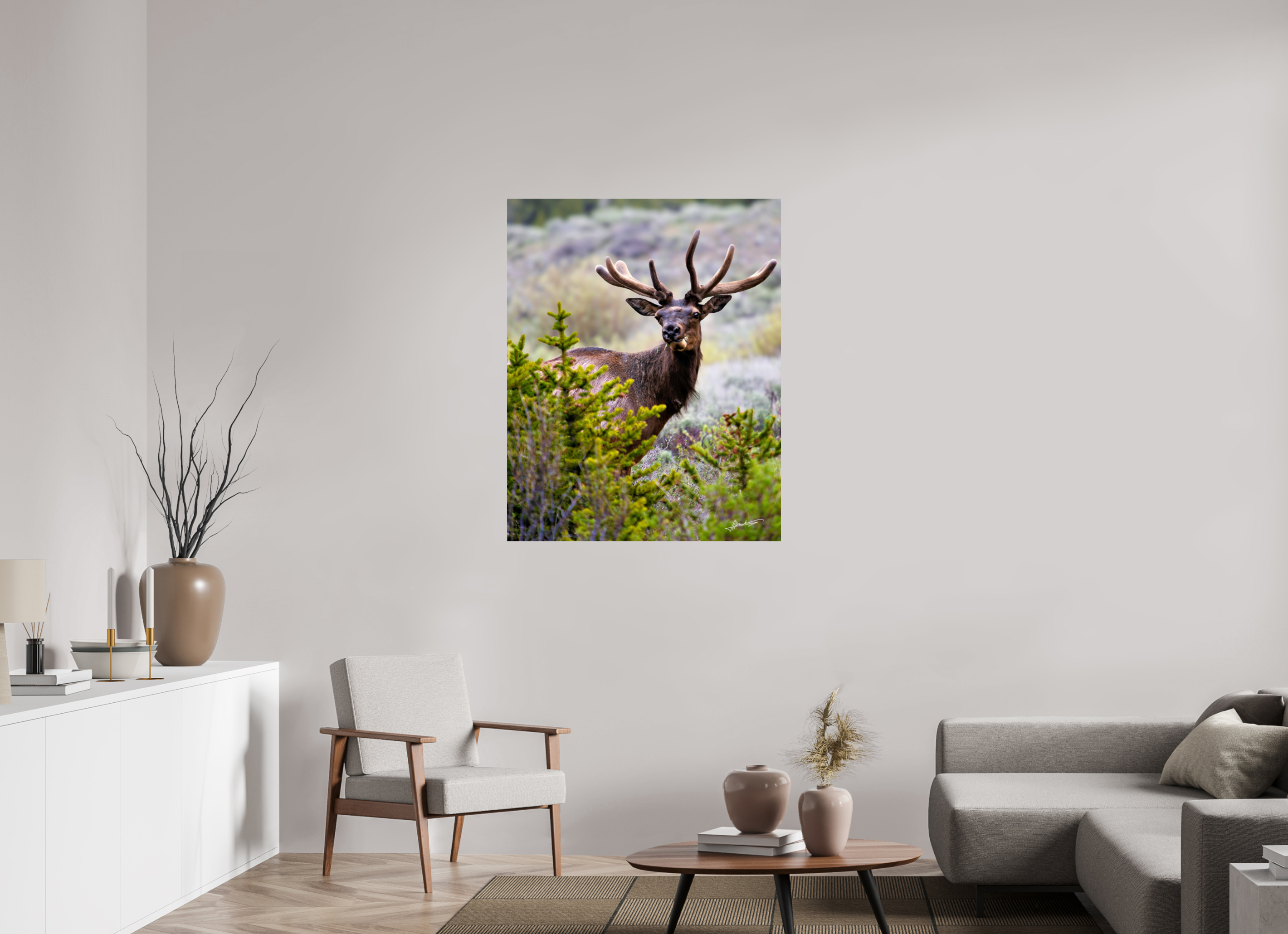 35 x 43.7″, Photo Print On Fuji Crystal DP II Velvet Bull