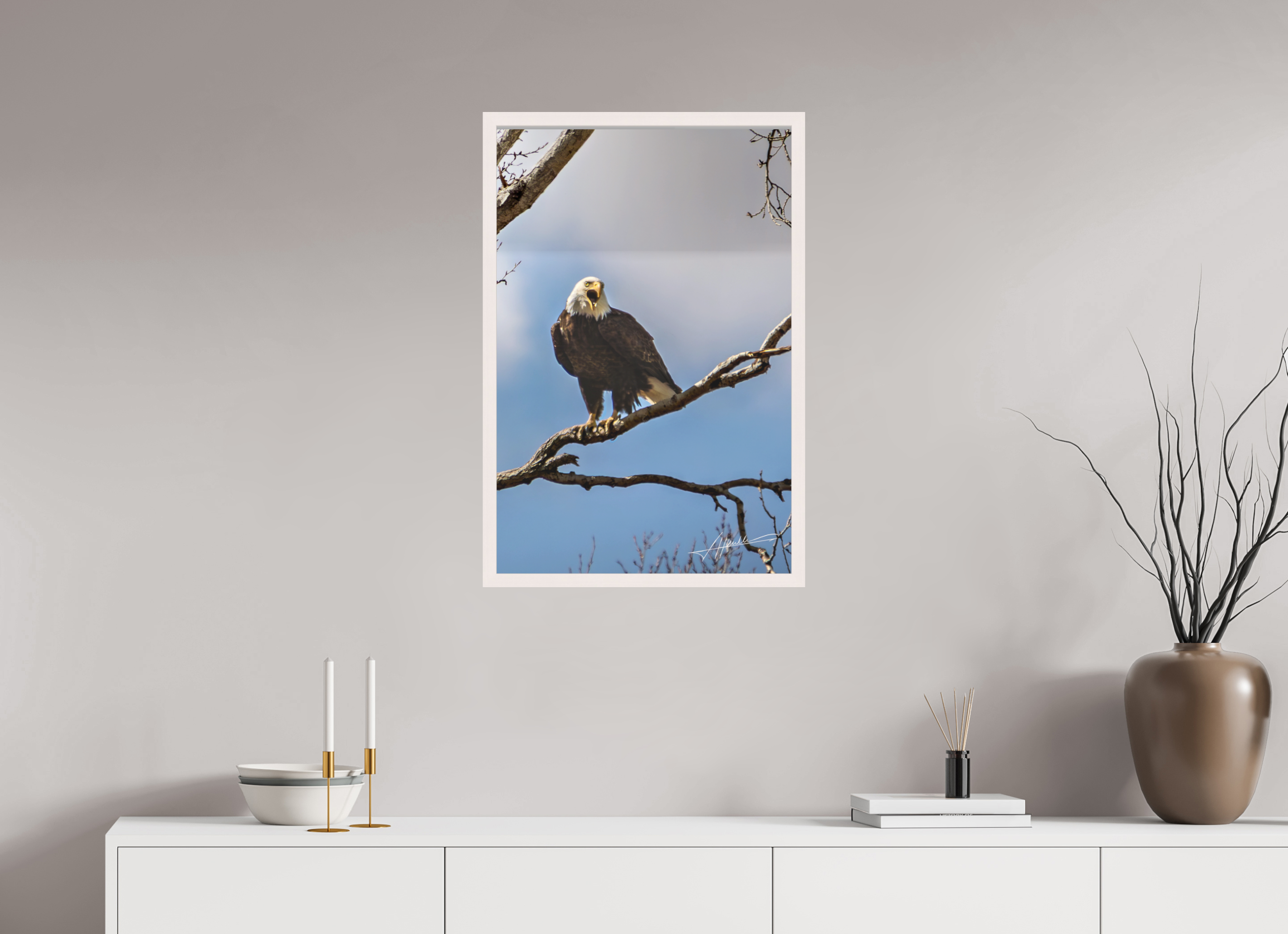 20 x 30″, Shadow Box Frame The Eagle's Call