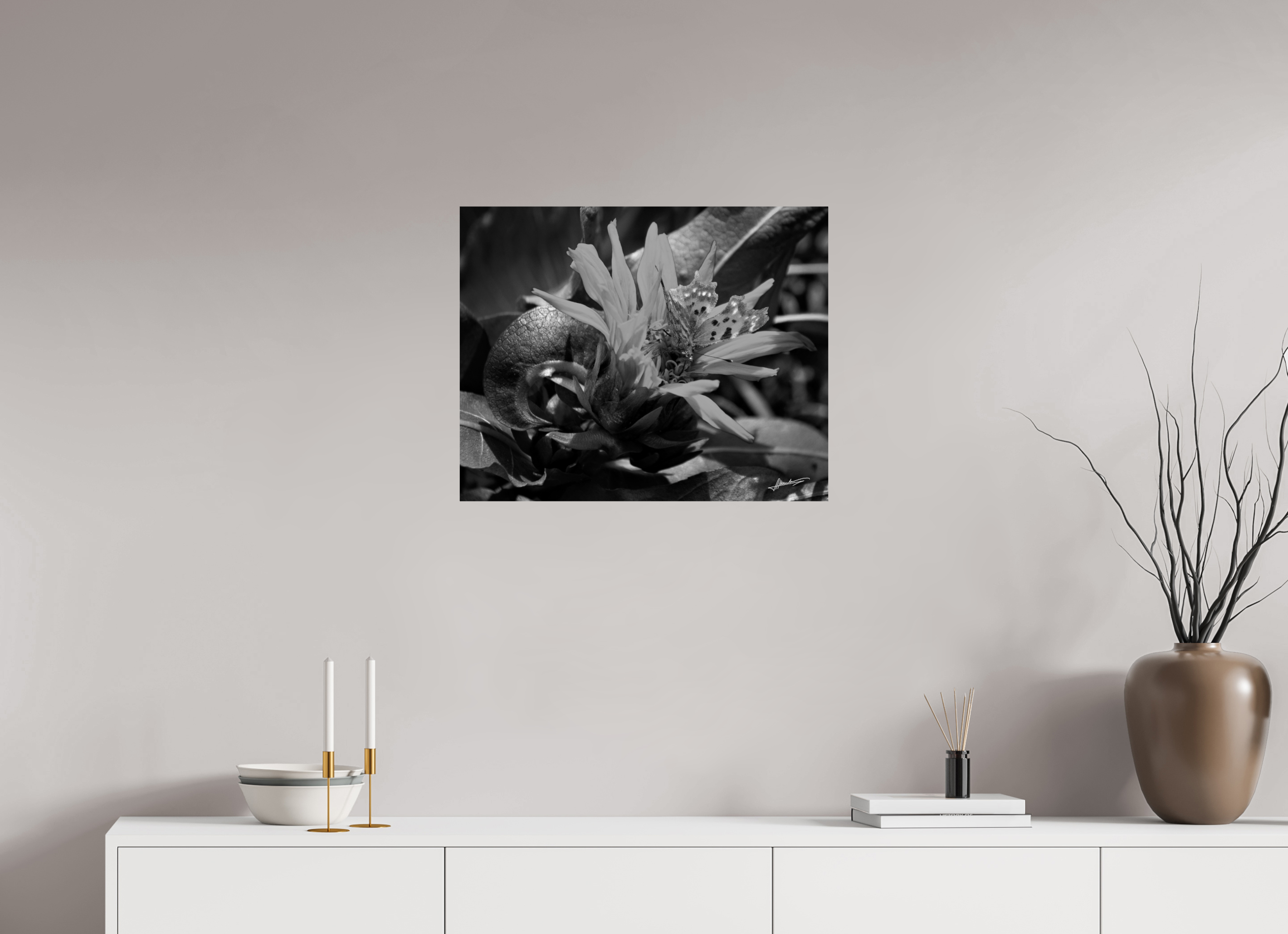 25 x 20″, Photo Print On Ilford Baryta Paper Busy Butterfly