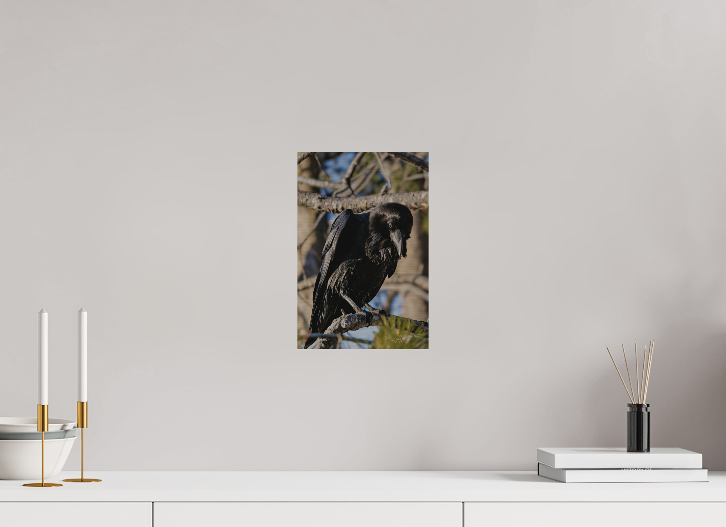 8 x 12″, Direct Brushed Aluminum Morning Raven