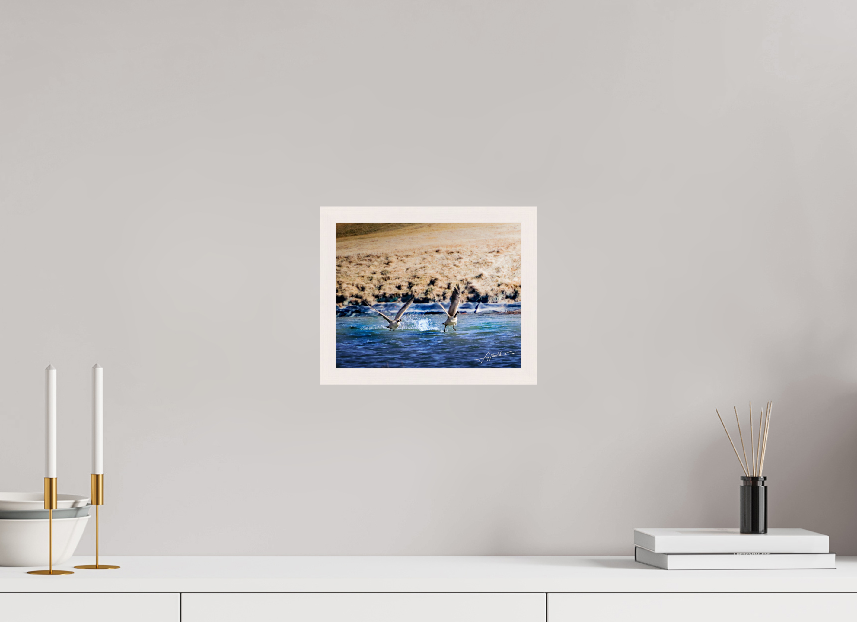 10 x 8″, Gallery Frame Geese Taking Flight