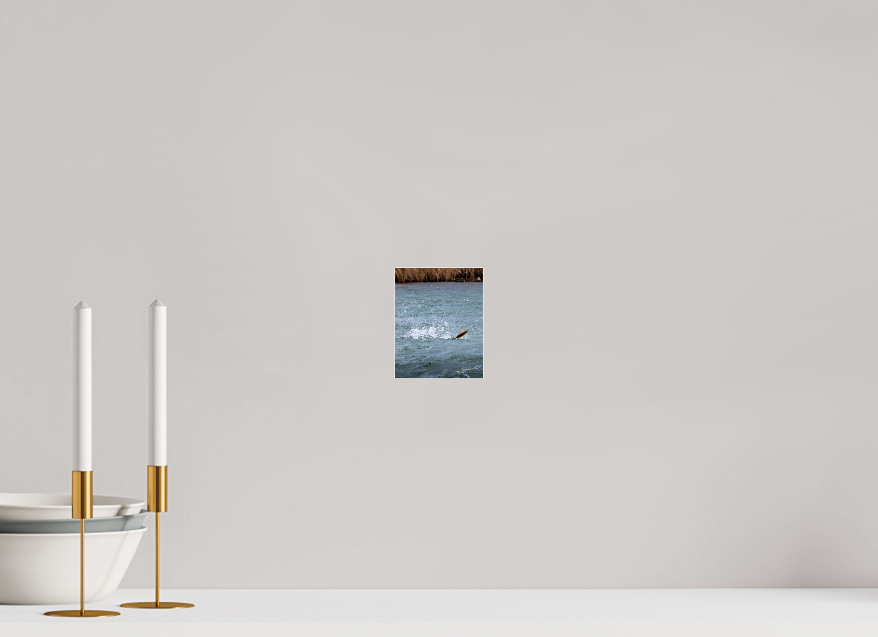 4 x 5″, Photo Print Under Acrylic Glass Jumping Rainbow Trout