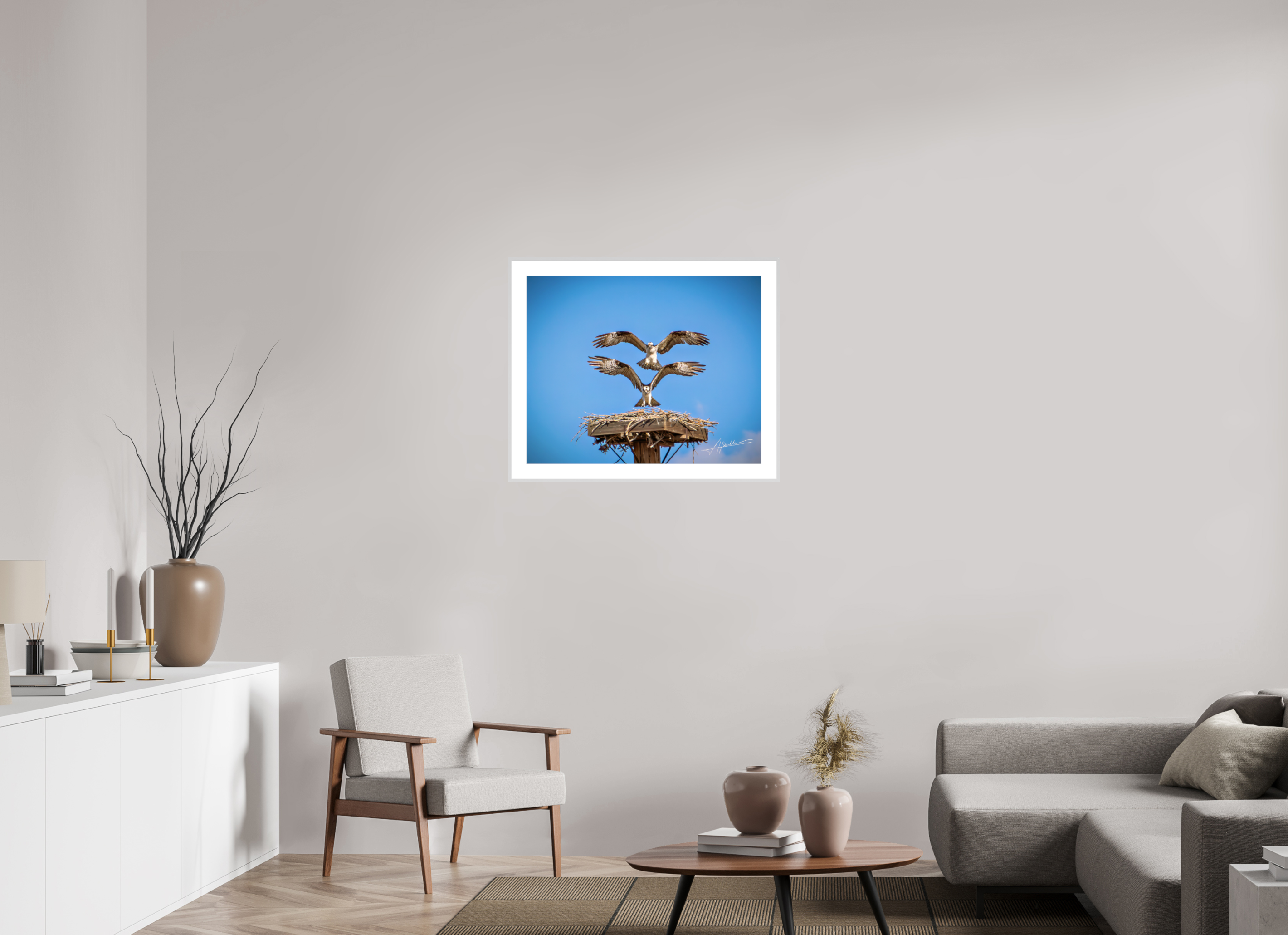 30 x 24″, Changeable Magnetic Frame Two Osprey Landing