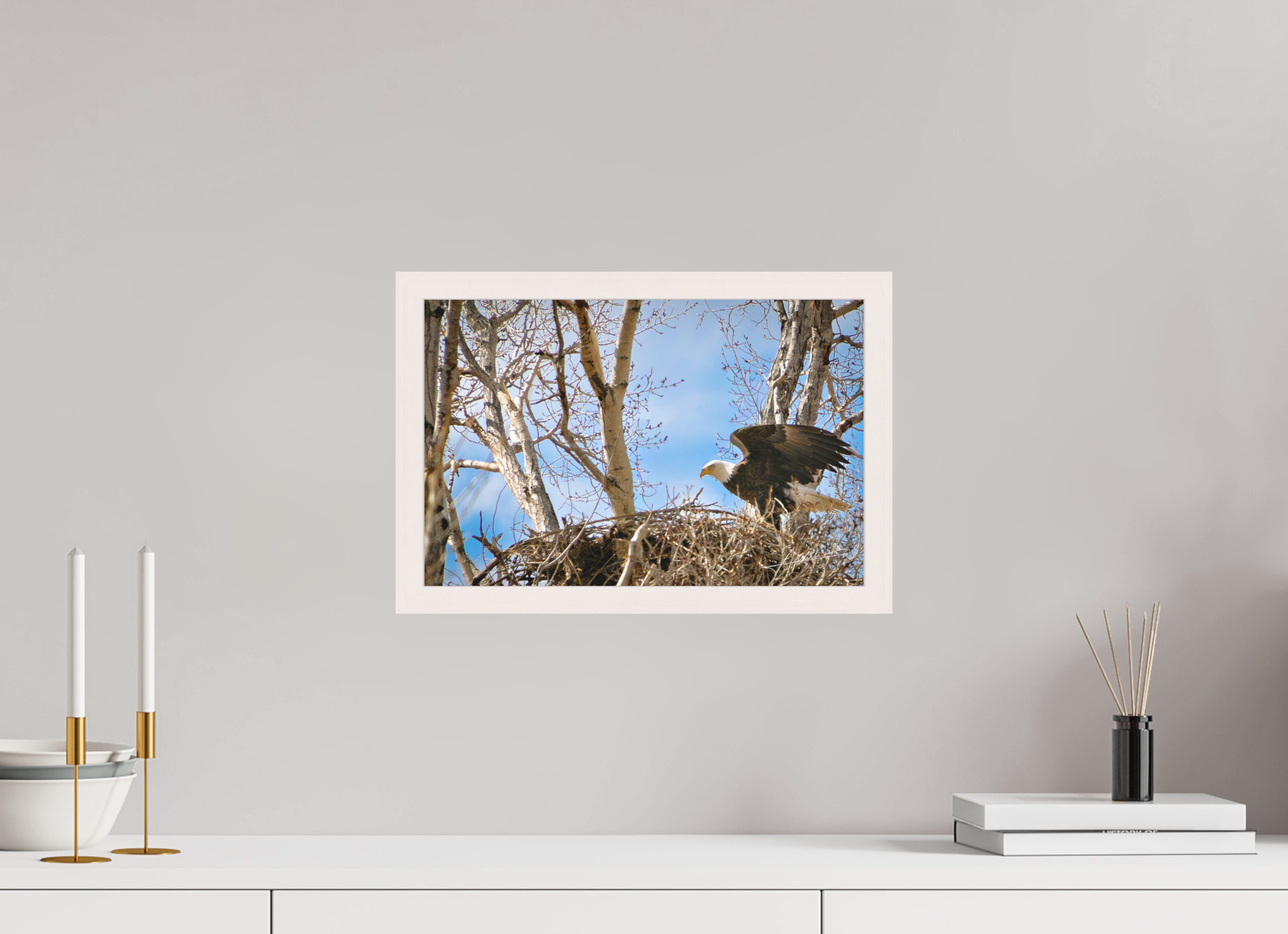 15 x 10″, Shadow Box Frame The Eagles Nest