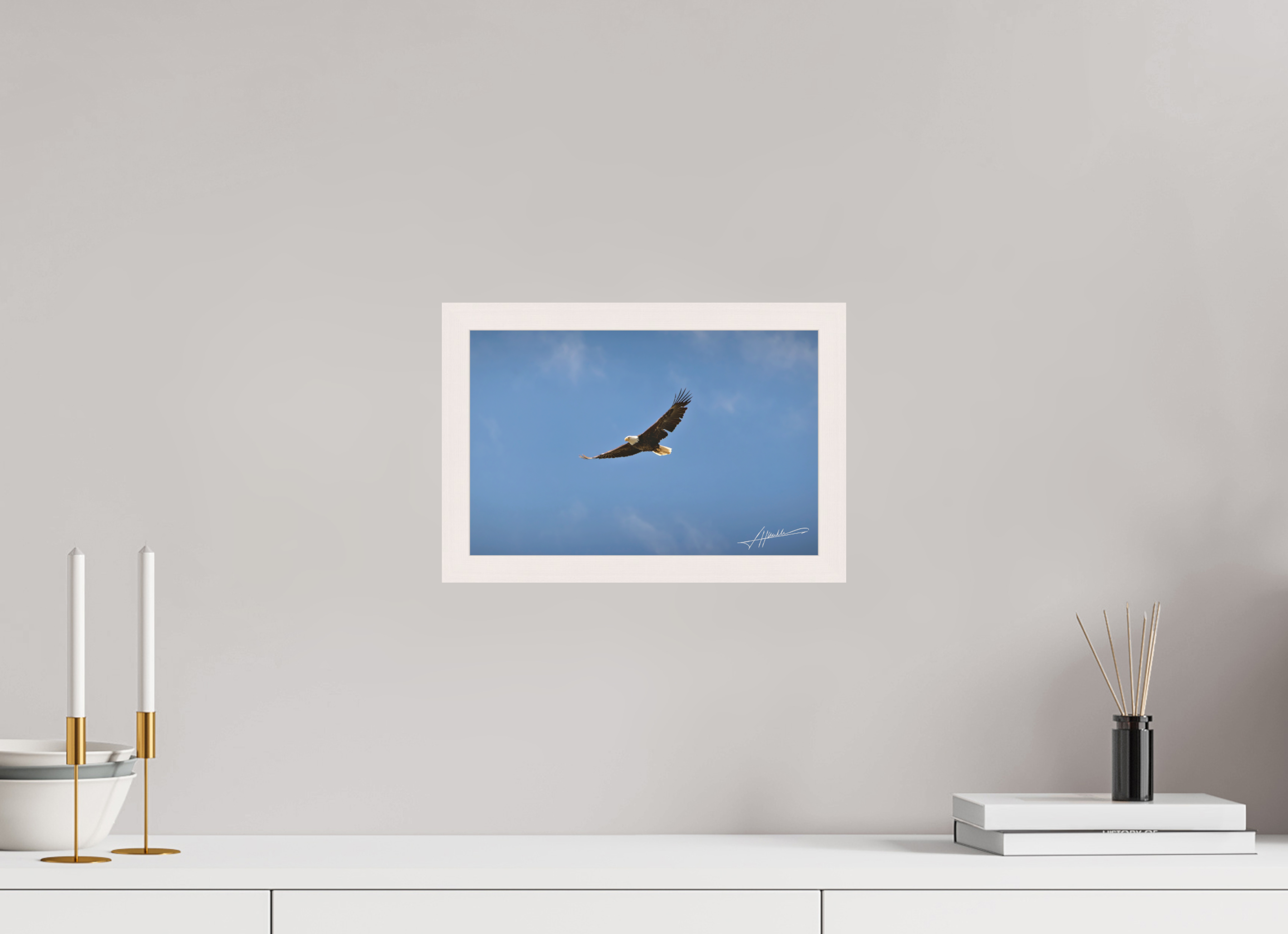 12 x 8″, Shadow Box Frame Soaring Free