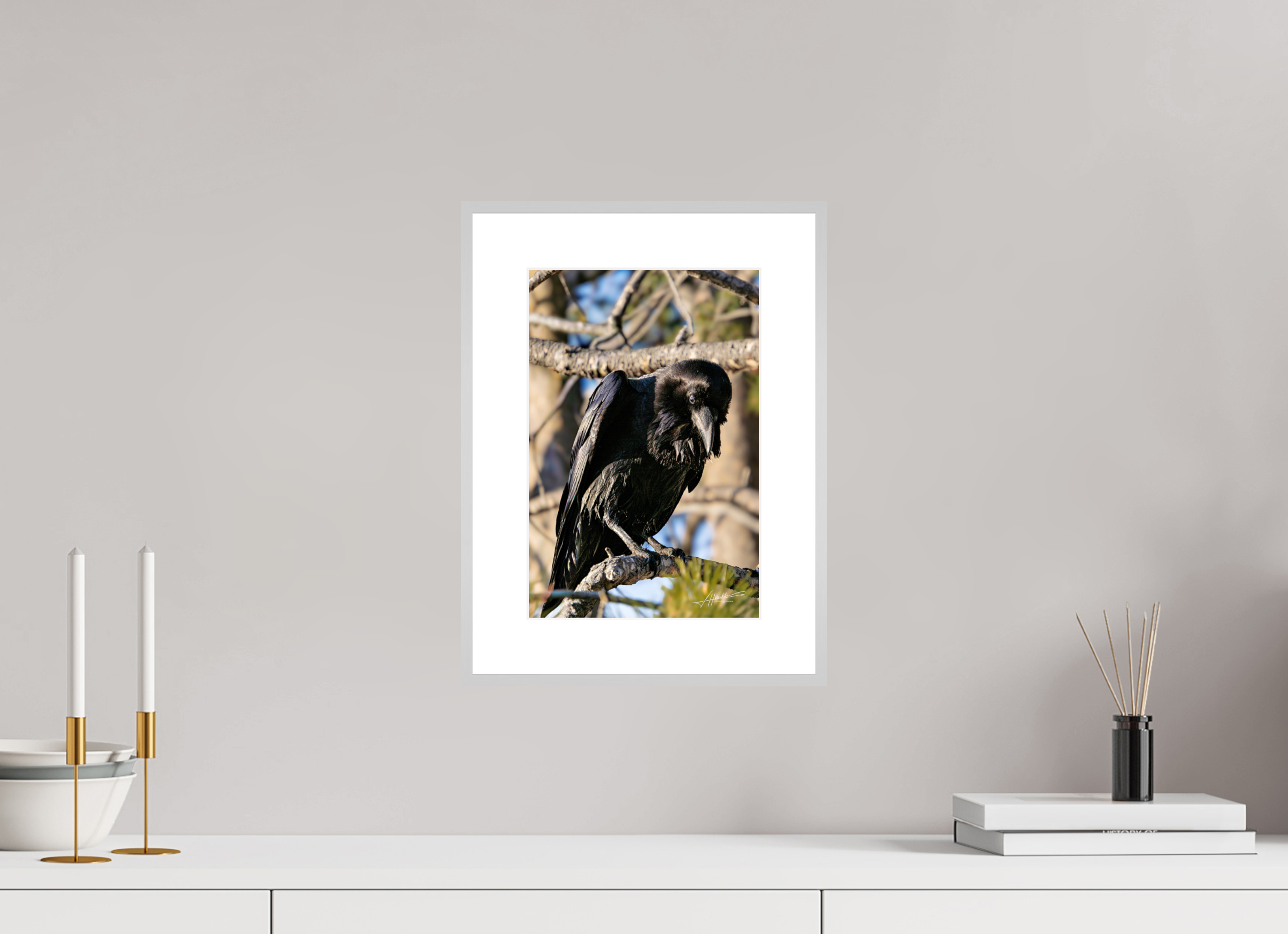 8 x 12″, Changeable Magnetic Frame Morning Raven