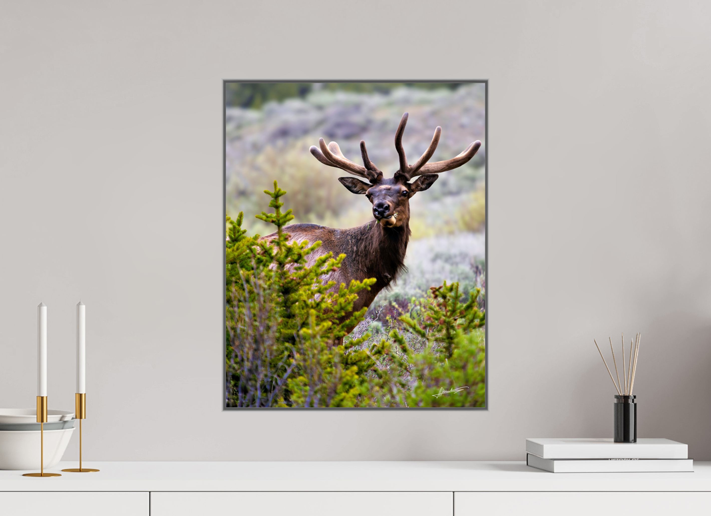 16 x 20″, Aluminum ArtBox Velvet Bull