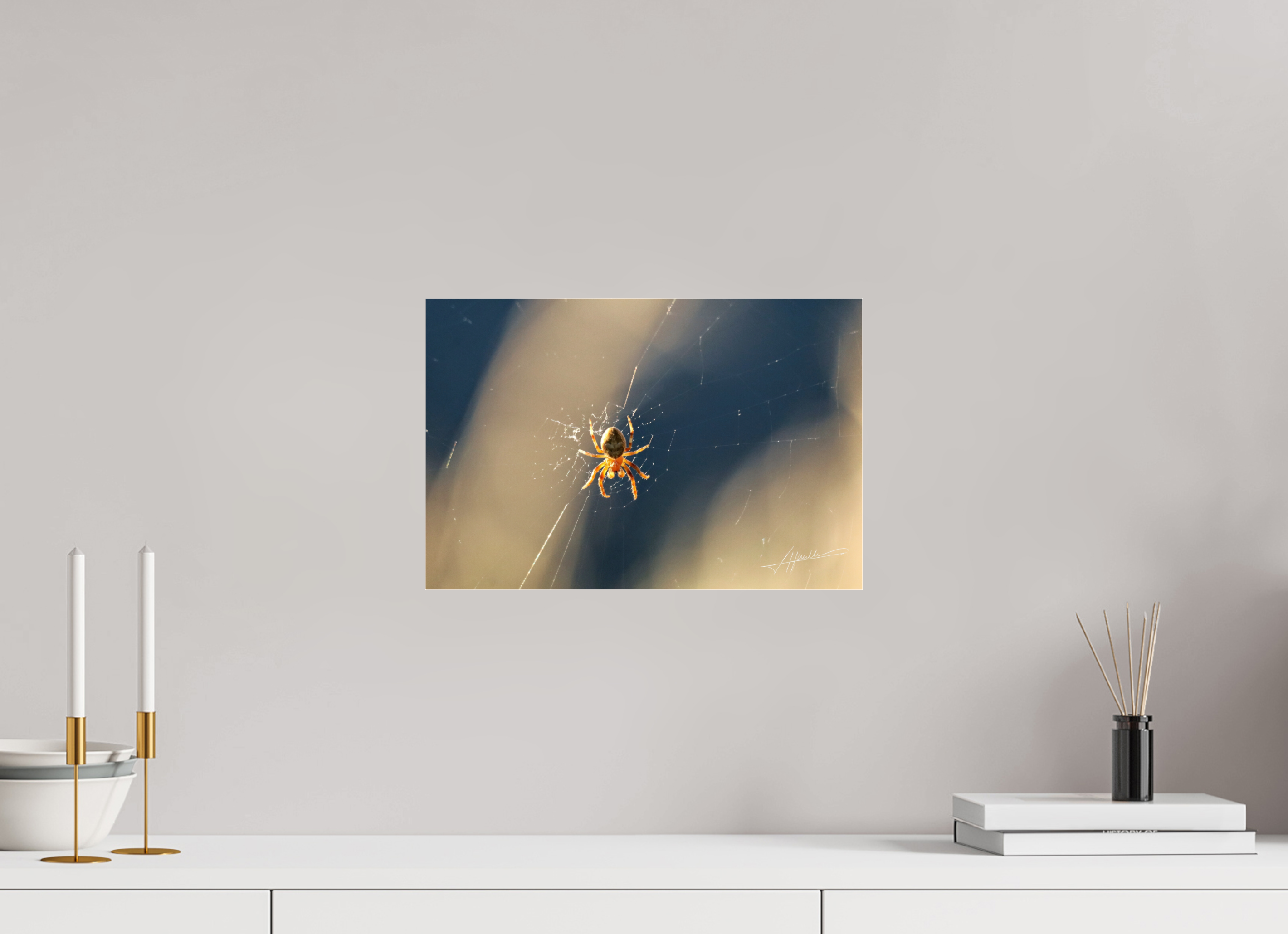 15 x 10″, Photo Print Under Acrylic Glass Tattered Web