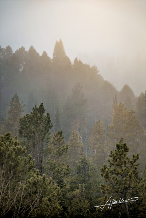 Main image Glowing Mountain Fog