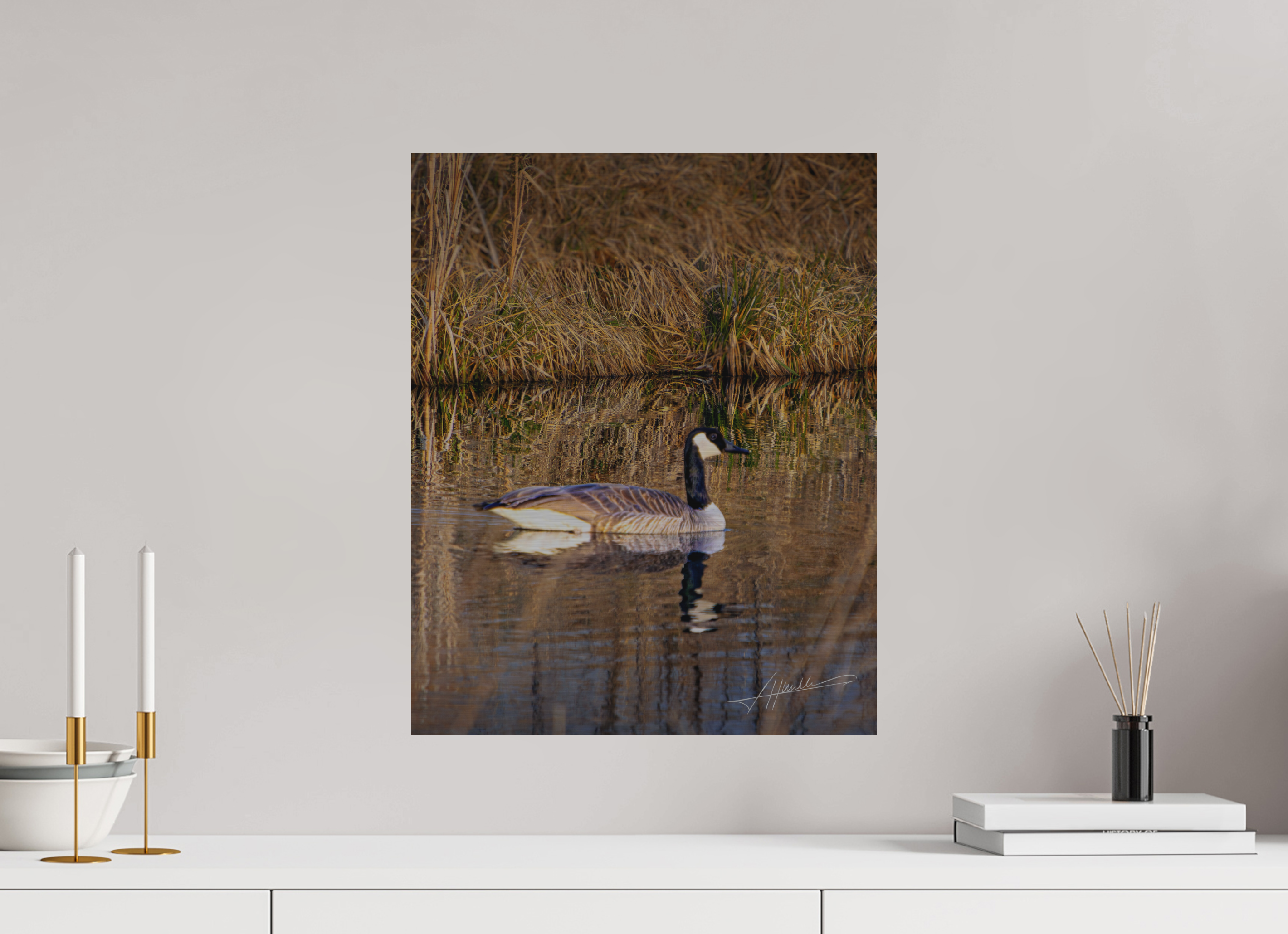 16 x 20″, Direct Brushed Aluminum A Swimming Reflection