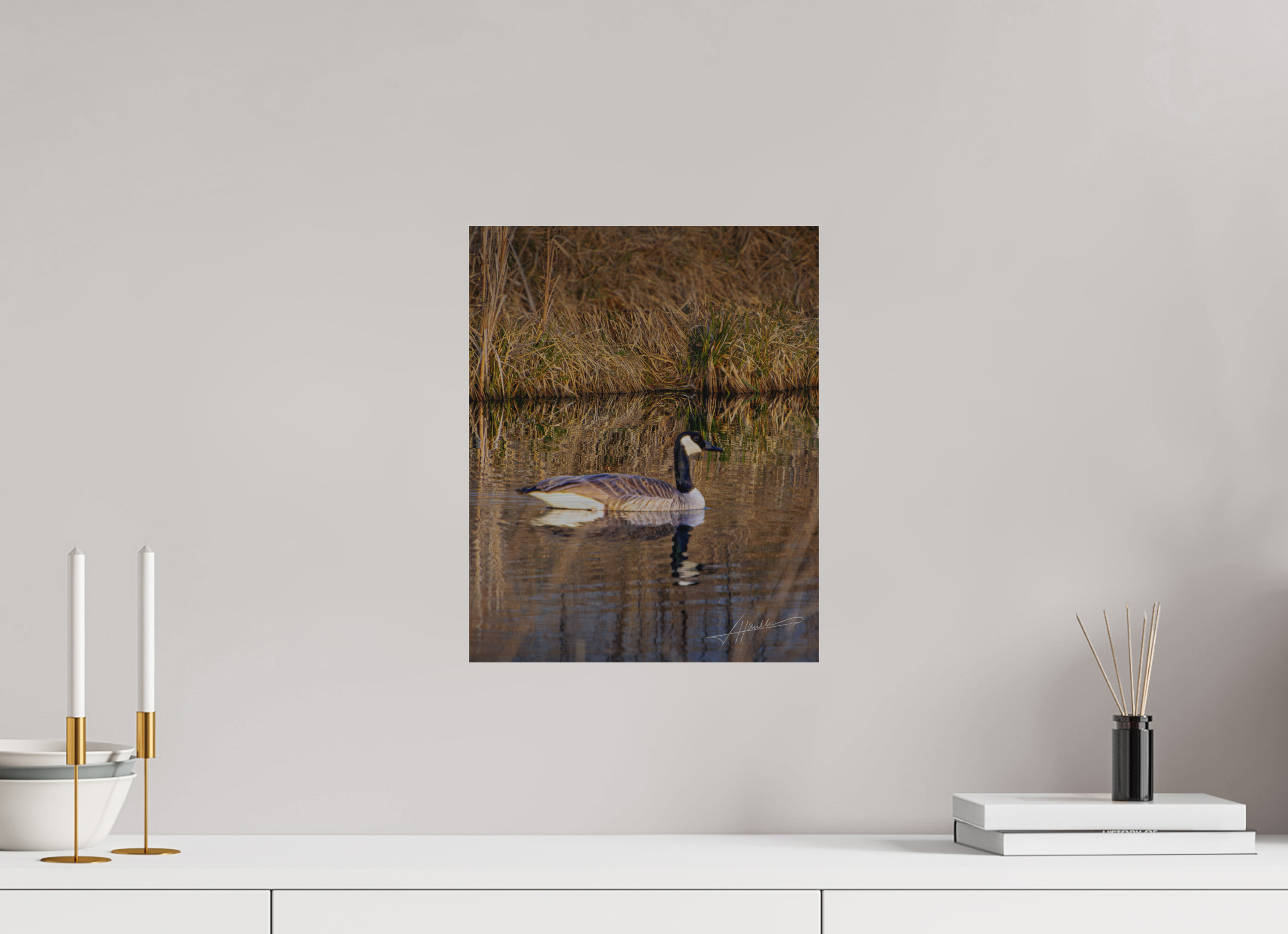 12 x 15″, Direct Brushed Aluminum A Swimming Reflection
