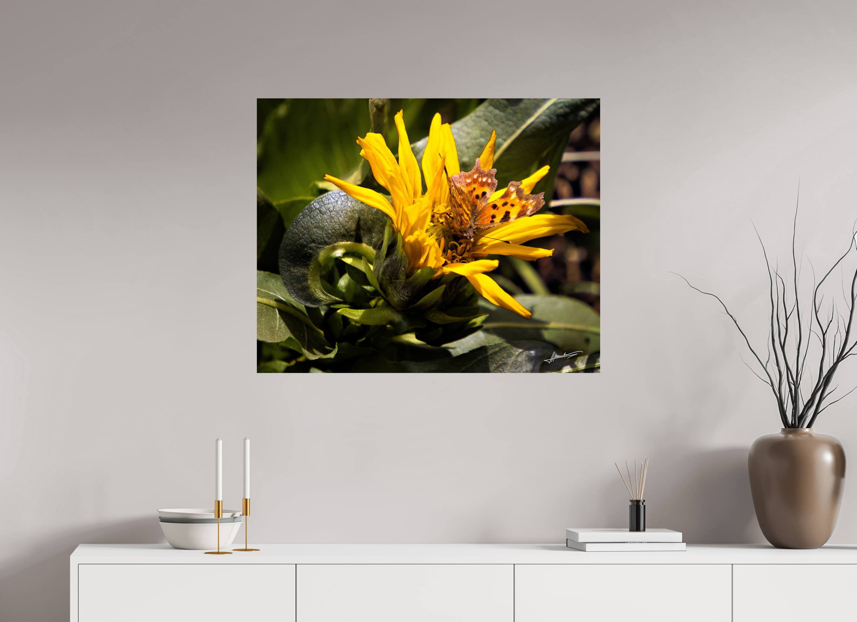 35 x 28″, Photo Print On Fuji Crystal DP II Busy Butterfly