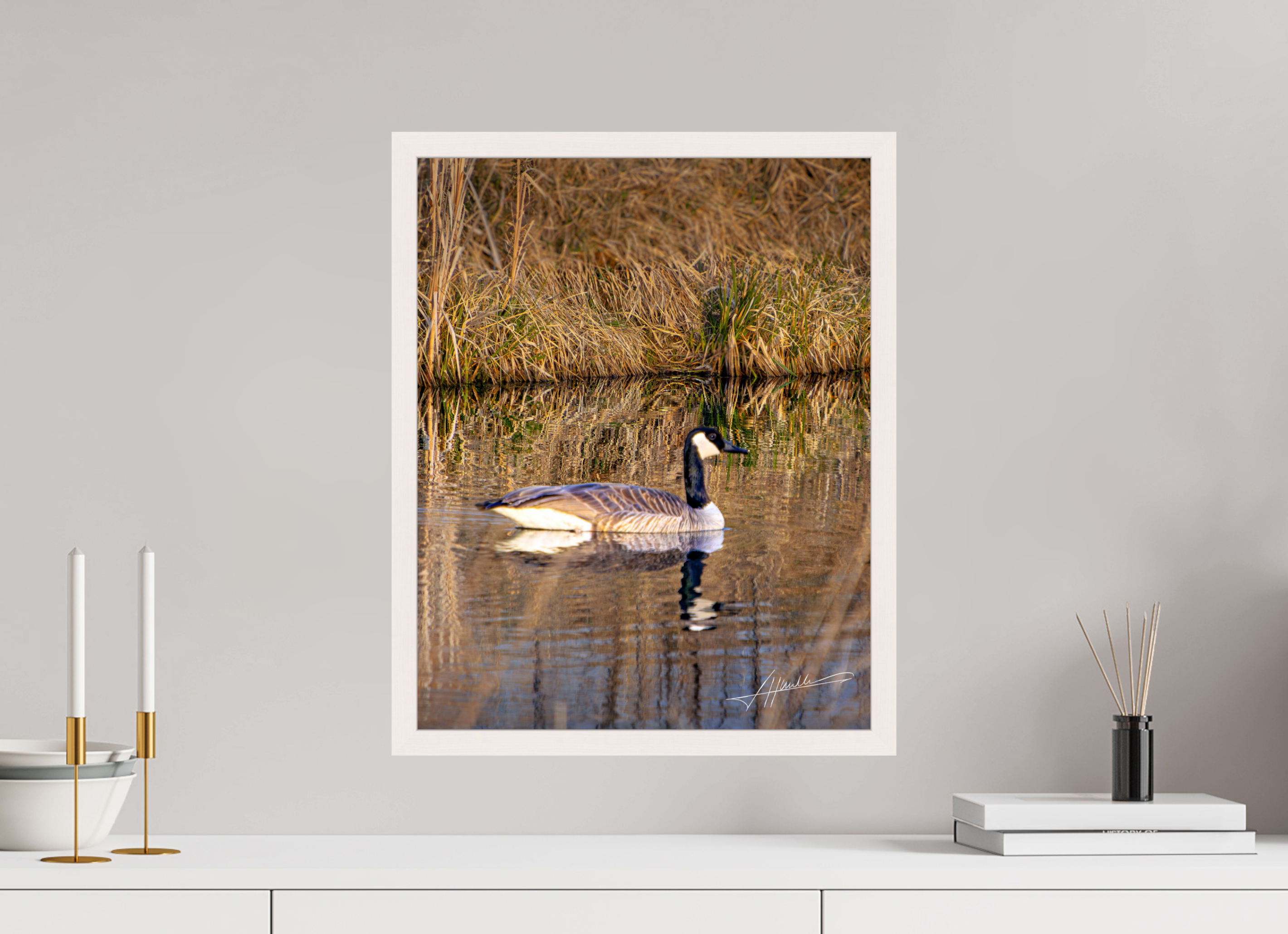 16 x 20″, Gallery Frame A Swimming Reflection