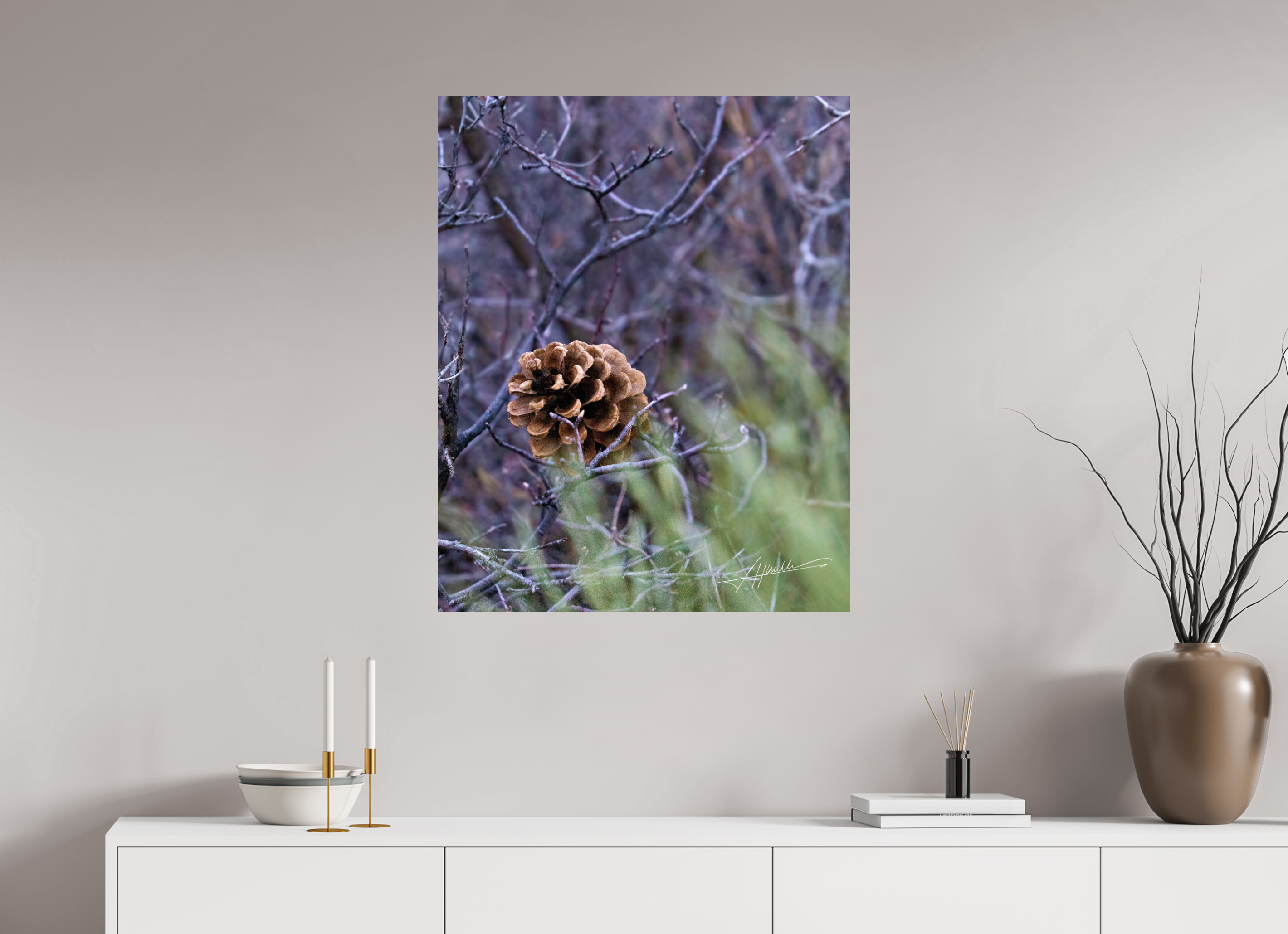 28 x 35″, Photo Print On Fuji Crystal DP II Mountain Pinecone