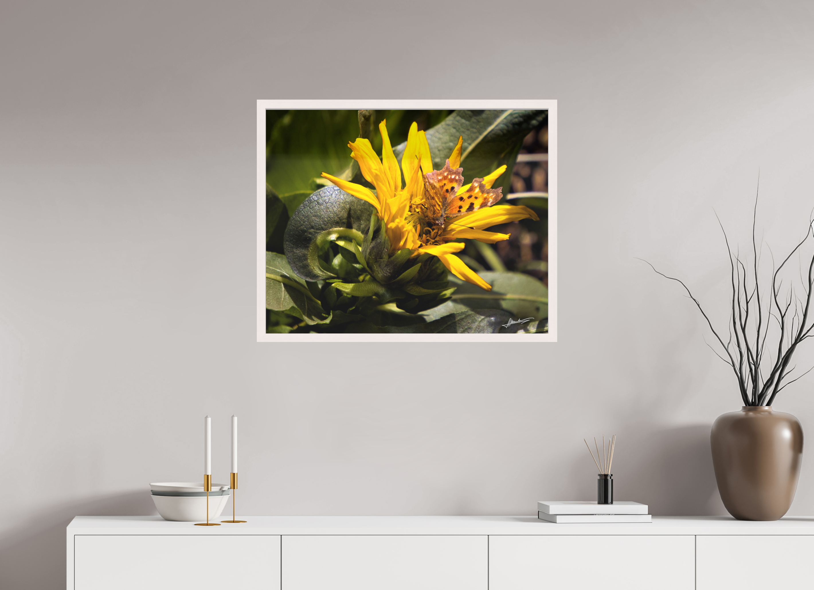 30 x 24″, Shadow Box Frame Busy Butterfly
