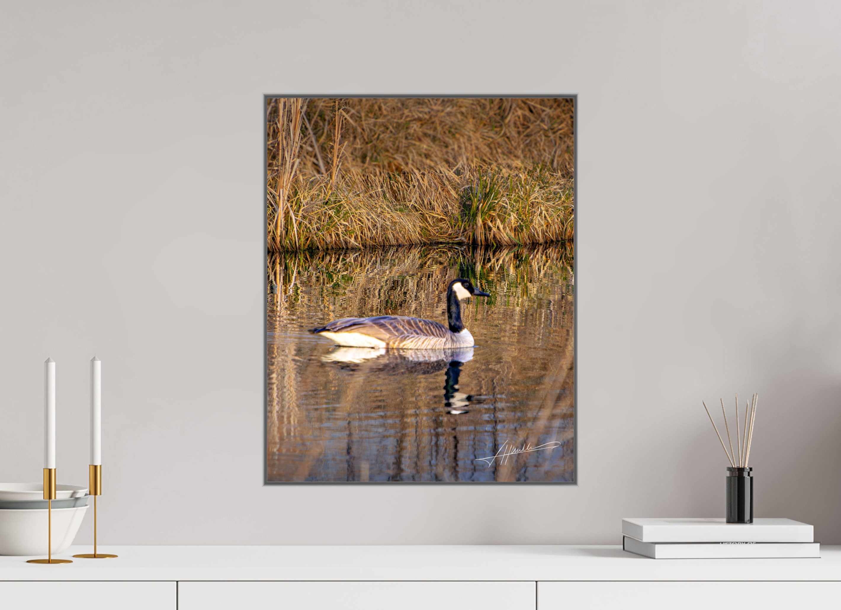 16 x 20″, Aluminum ArtBox A Swimming Reflection