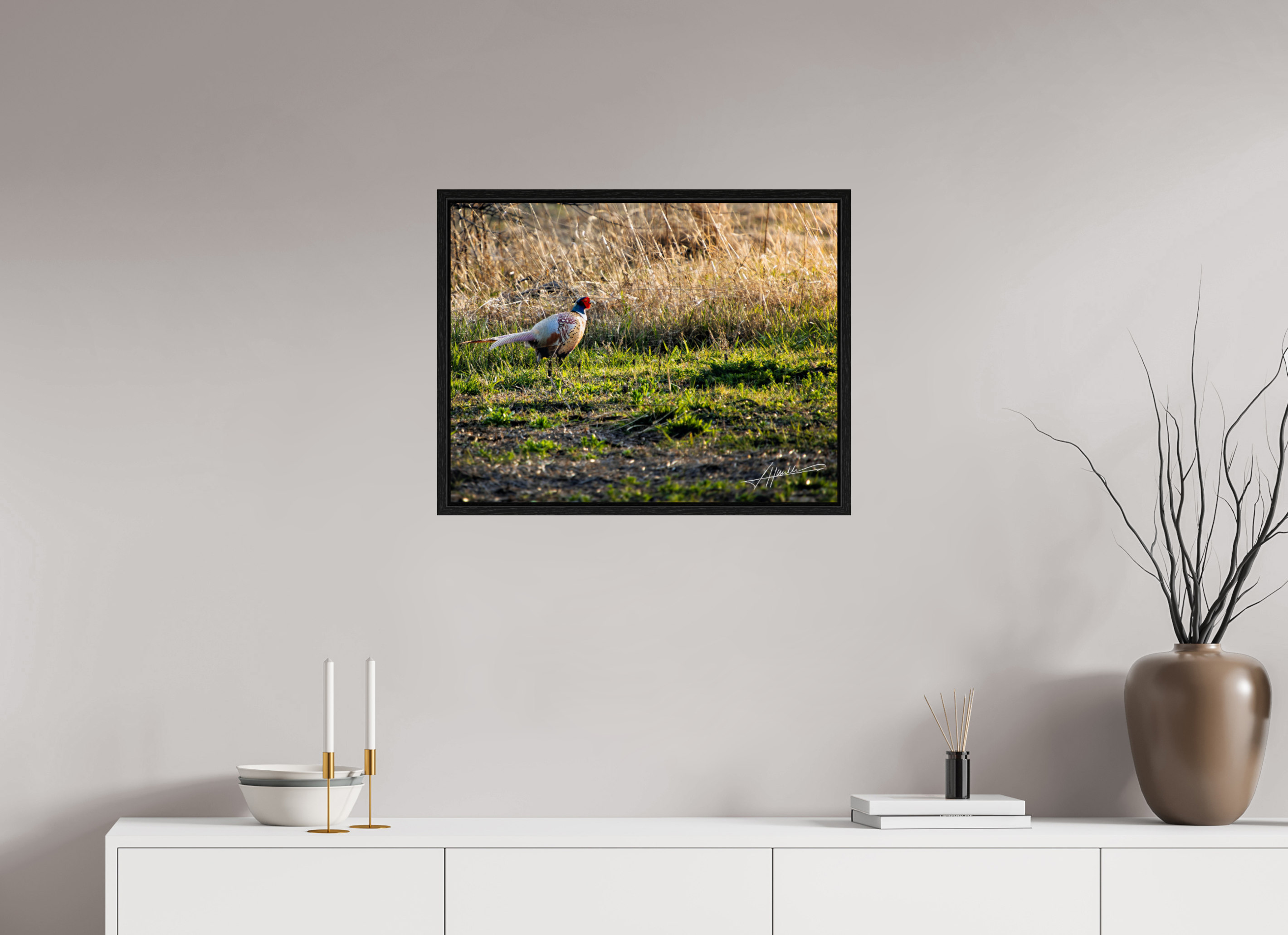 25.9 x 20″, Floater Frame Evening Pheasant