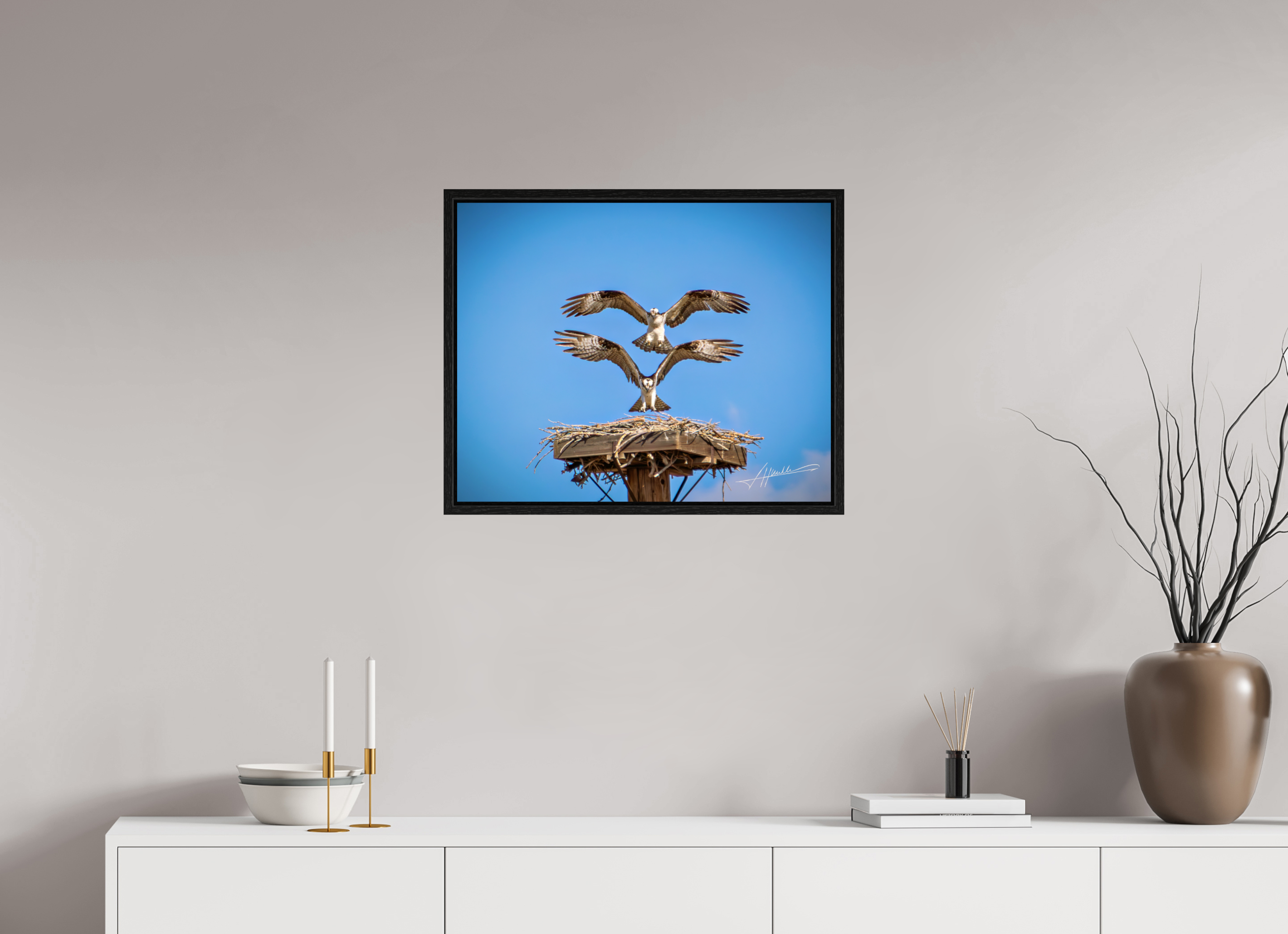 25 x 20″, Floater Frame Two Osprey Landing