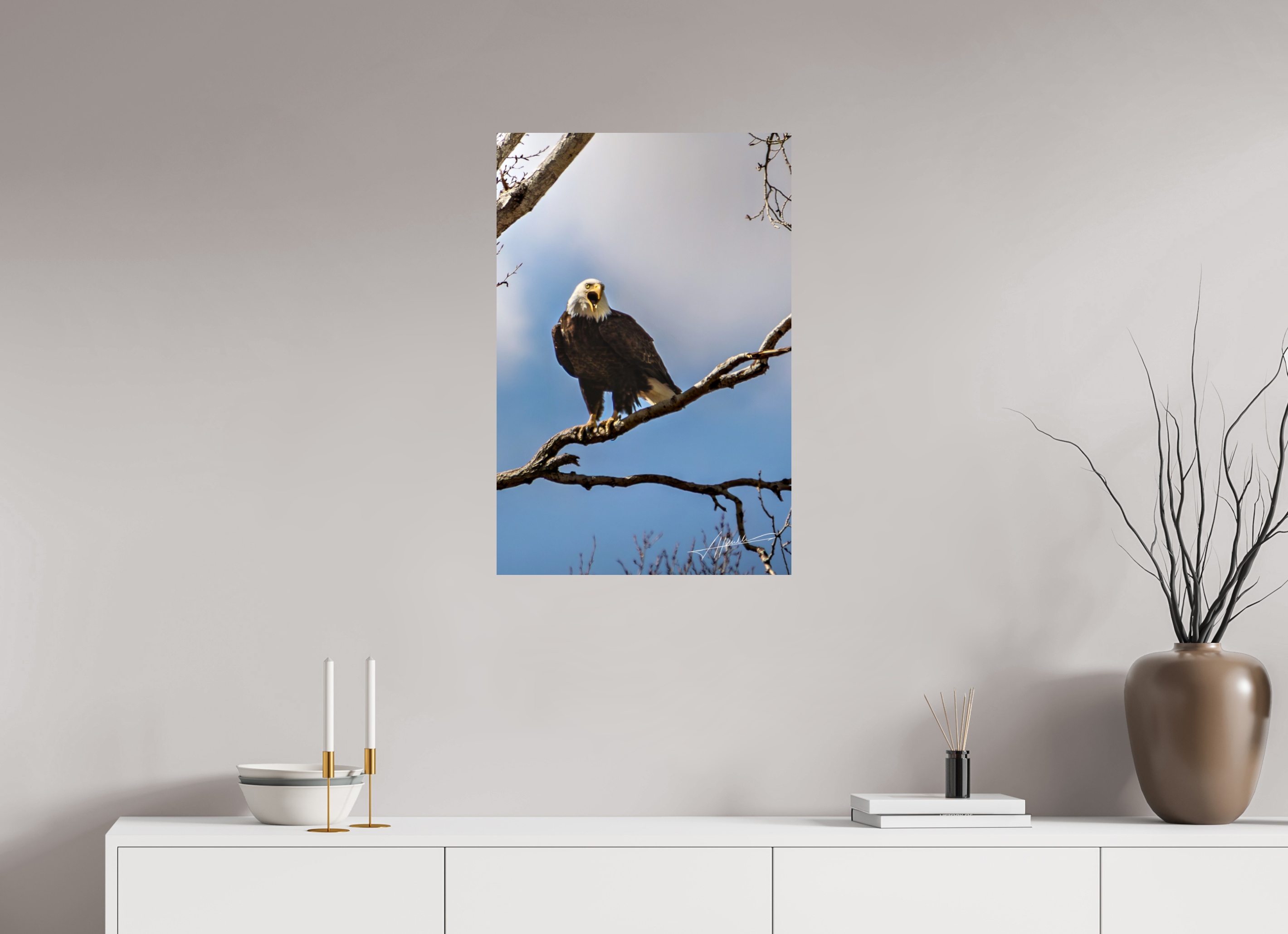 20 x 30″, Metallic Photo Print On Fuji Crystal Pearl The Eagle's Call