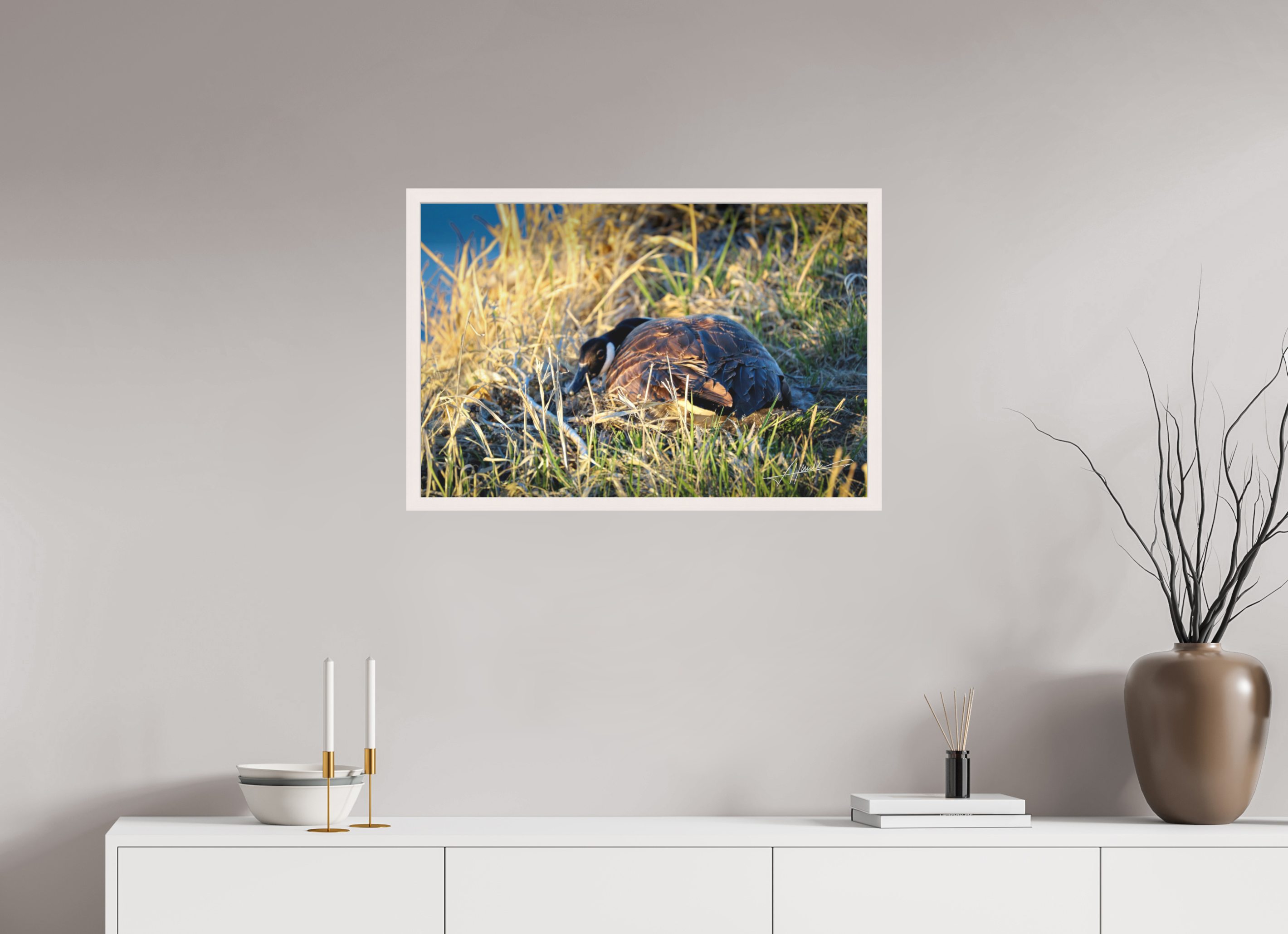 30 x 20″, Shadow Box Frame New Nester