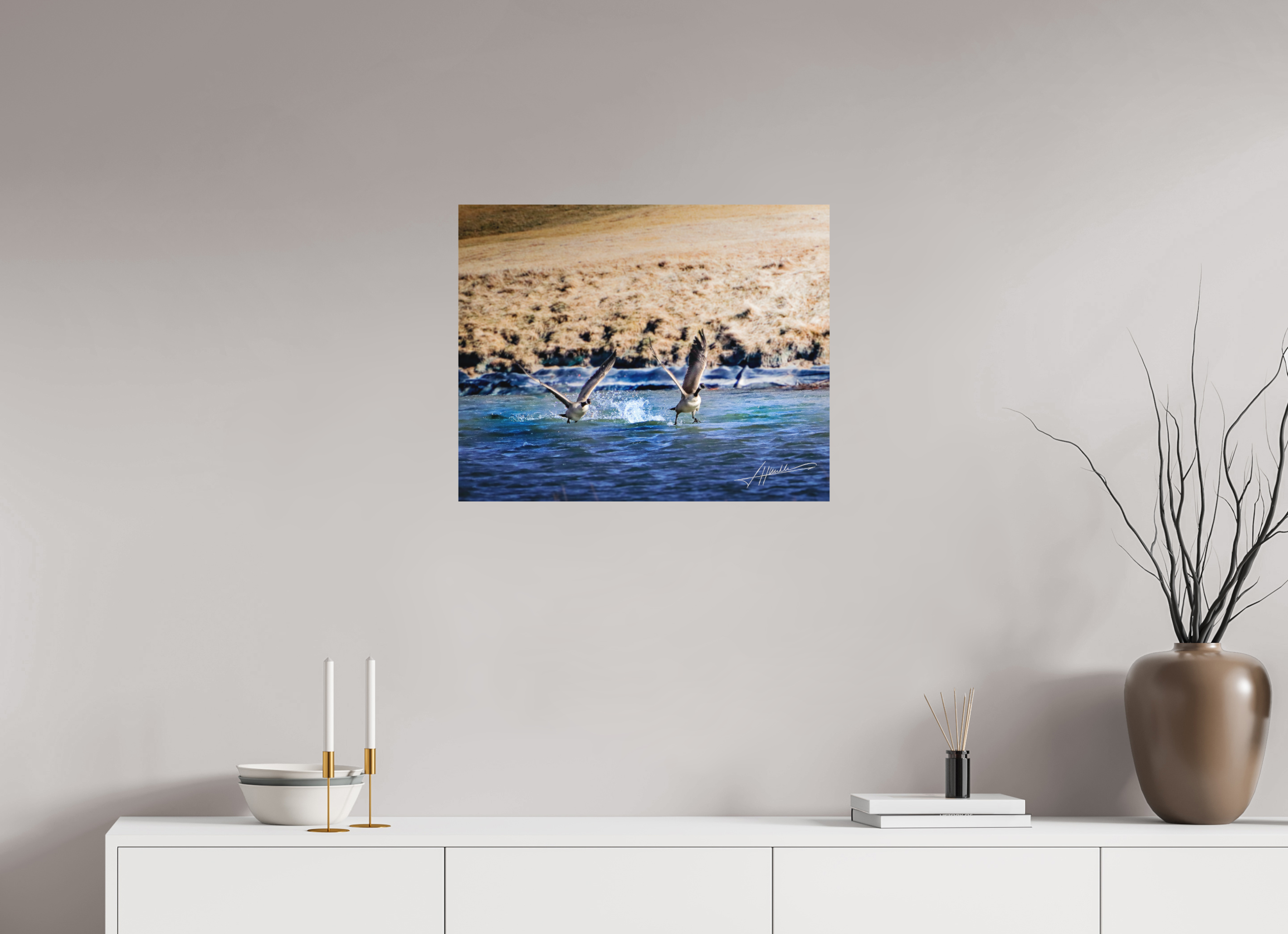 25 x 20″, Metal Dibond Geese Taking Flight
