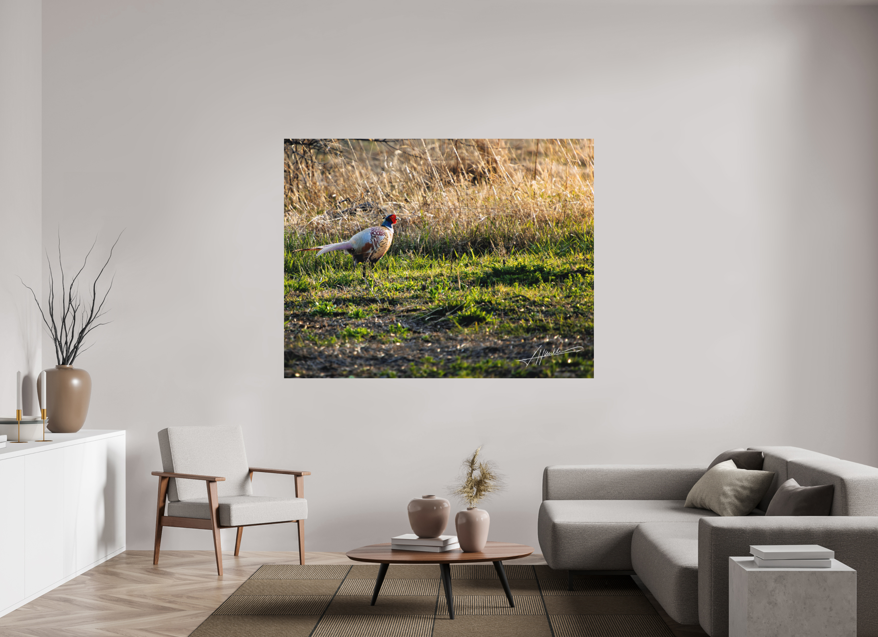 71.2 x 55″, Metal Dibond Evening Pheasant