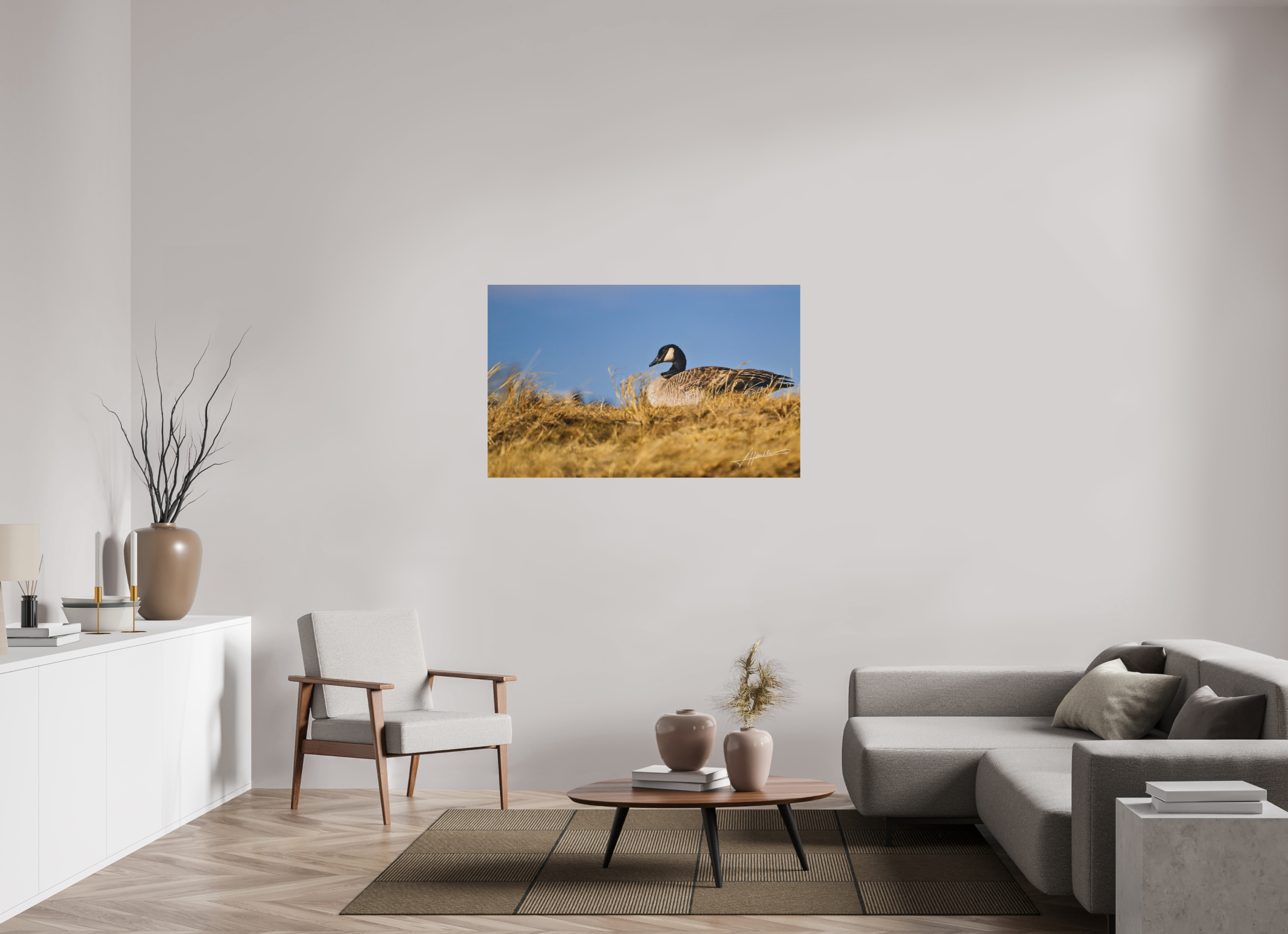 50.2 x 31″, Metal Dibond The Nesting Goose