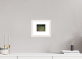 5 x 4″, Solid Wood Frame with Passe-partout Feeding Hummingbird