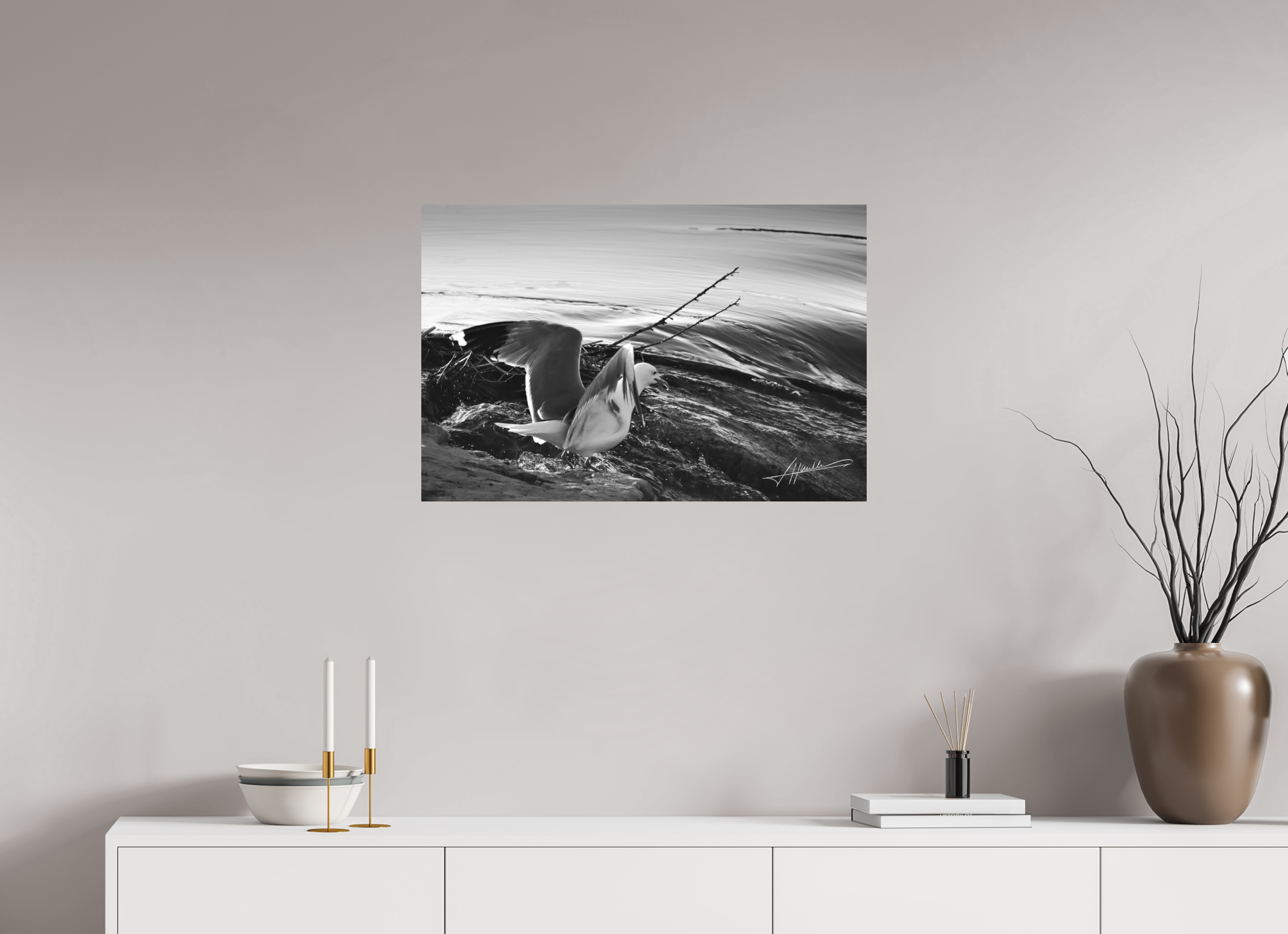 30 x 20″, Ilford Aluminum BW Seagull Takes Flight