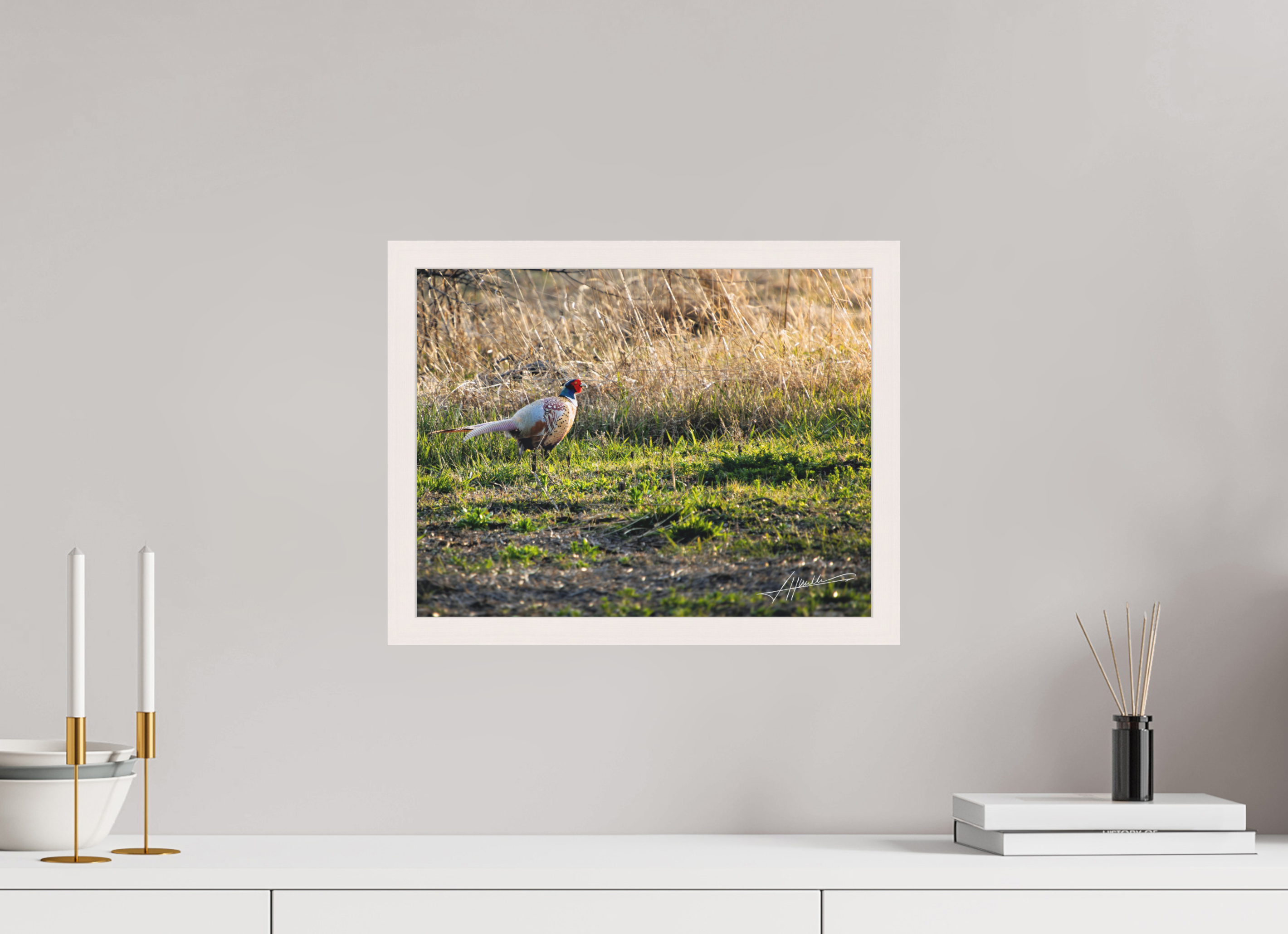 15.5 x 12″, Shadow Box Frame Evening Pheasant