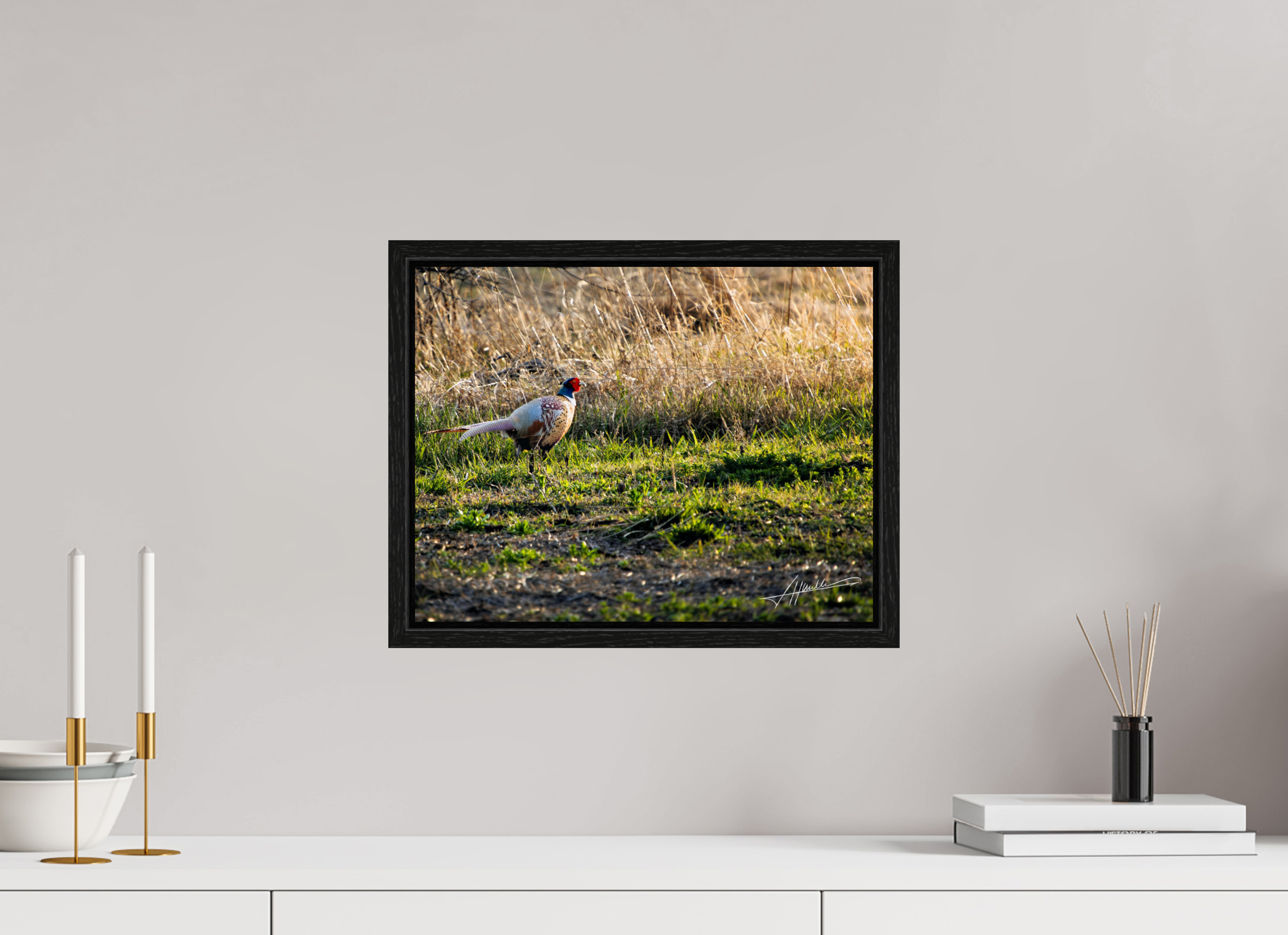 15.5 x 12″, Floater Frame Evening Pheasant