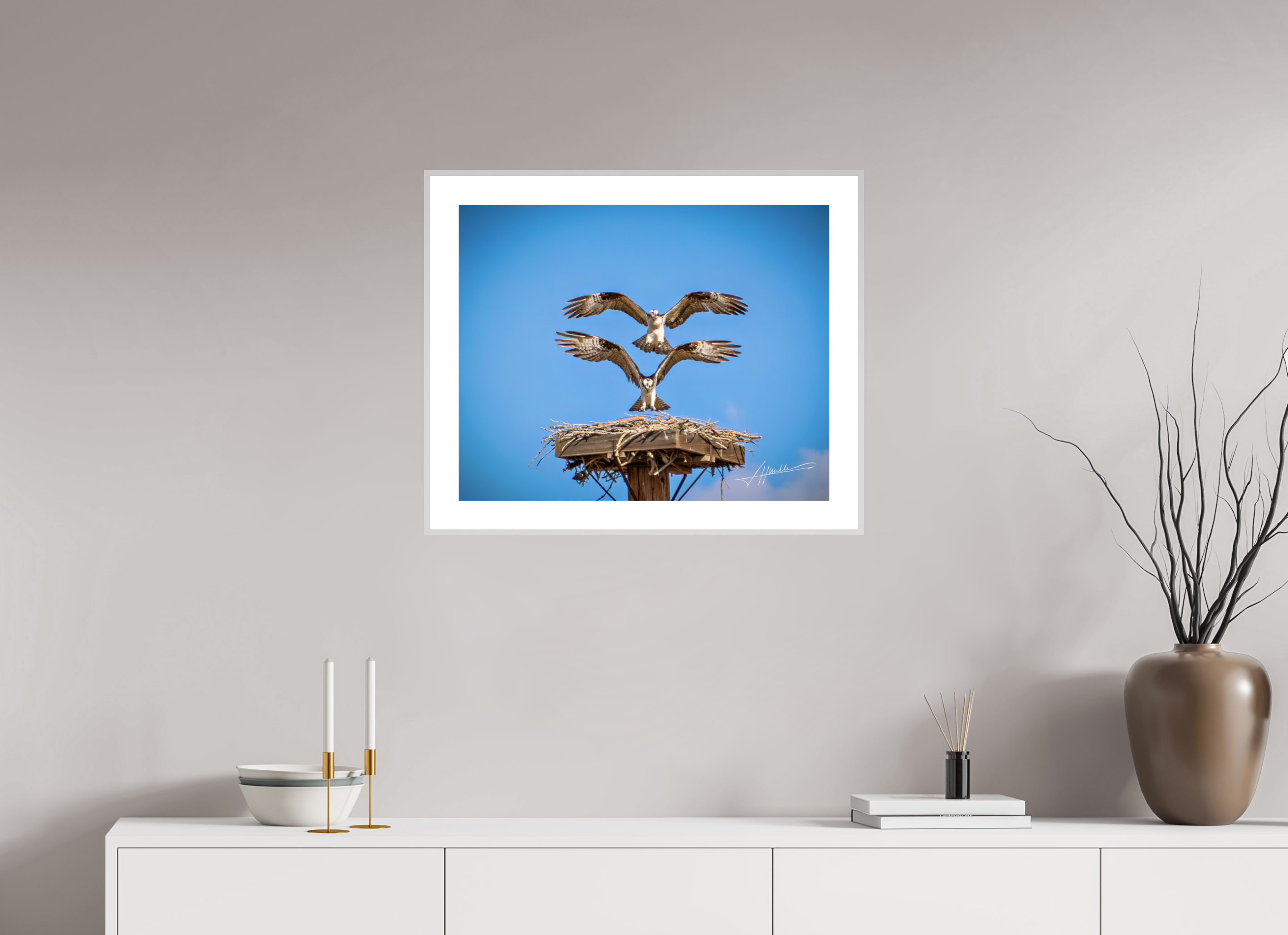 25 x 20″, Changeable Magnetic Frame Two Osprey Landing