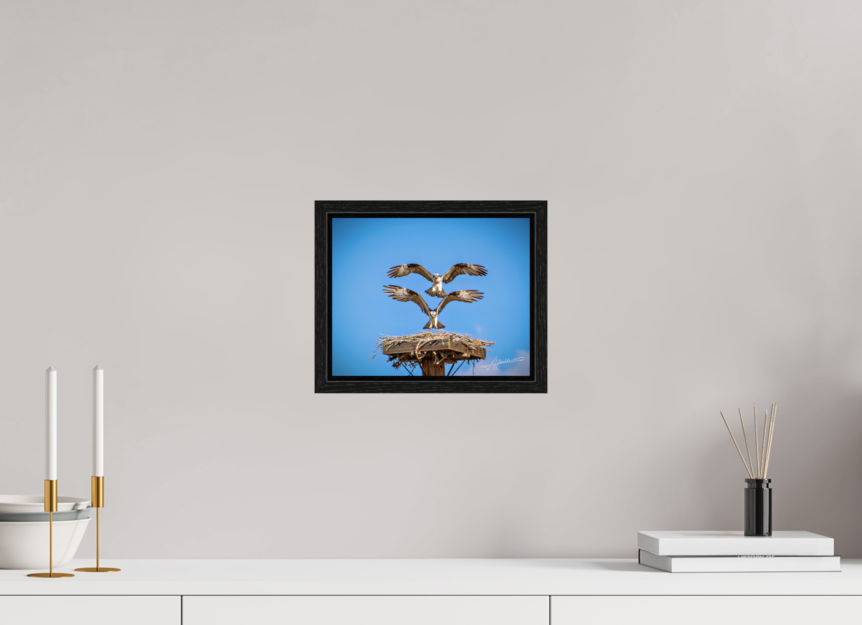 10 x 8″, Floater Frame Two Osprey Landing