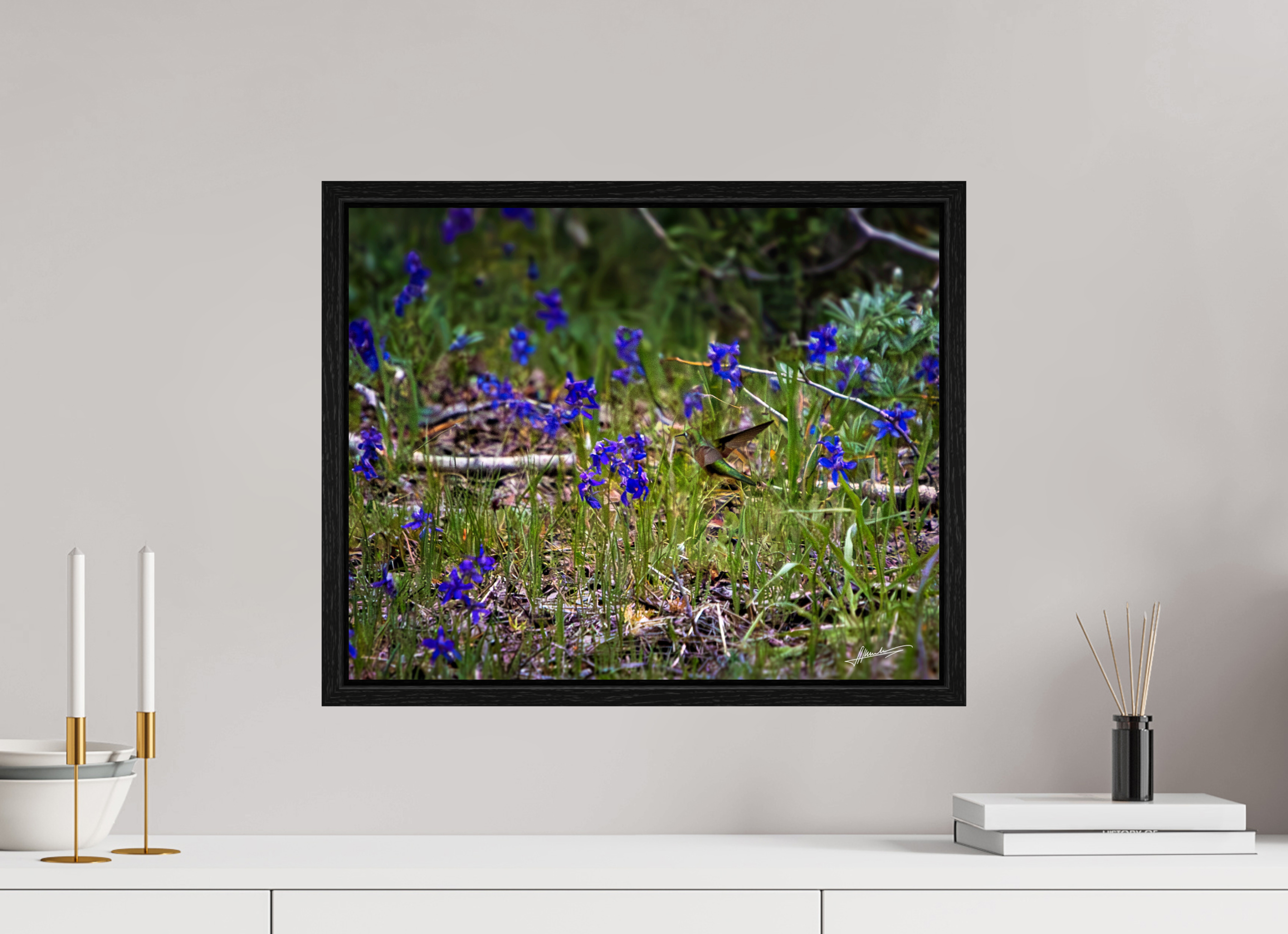 20 x 16″, Floater Frame Feeding Hummingbird